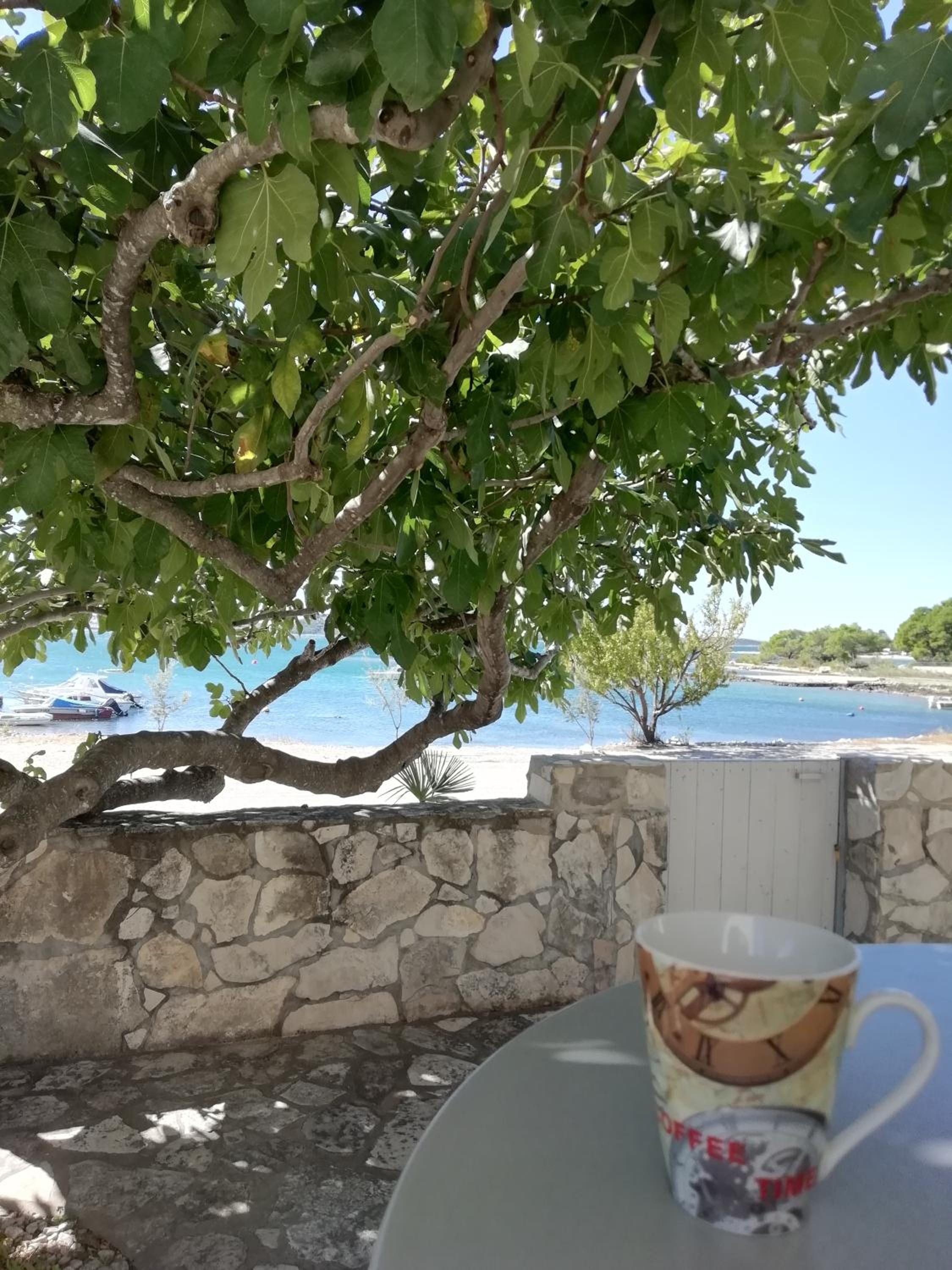 APARTMAN ZVONIMIR view 3