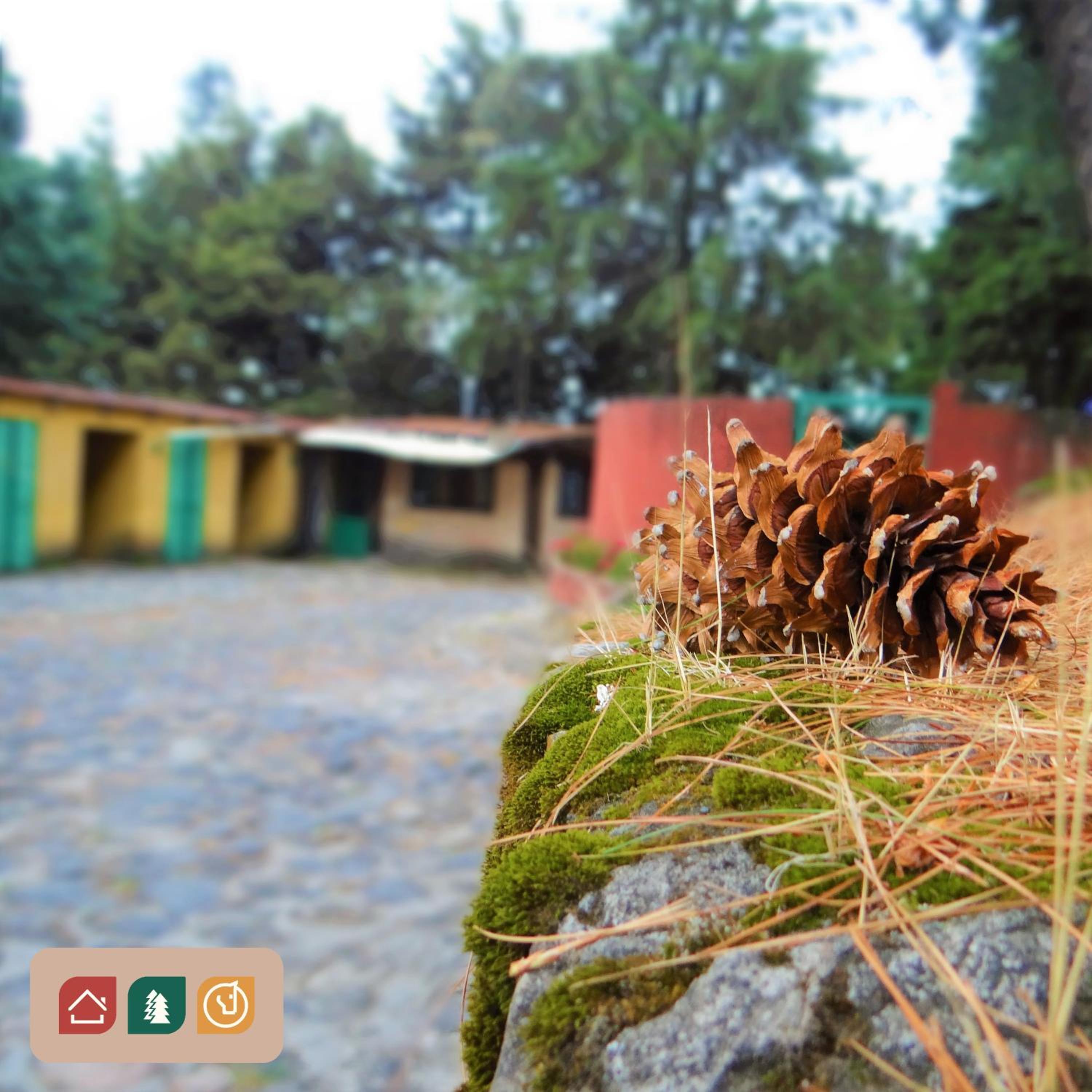 Rancho EL PARAÍSO AJUSCO view 3