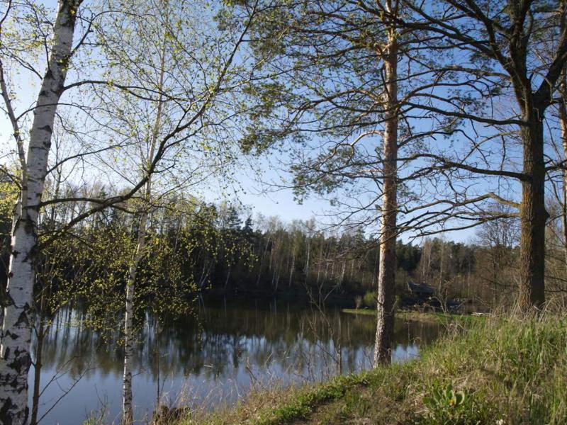 Photo 37