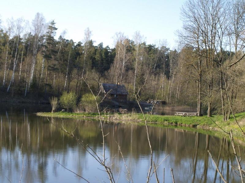 Photo 40