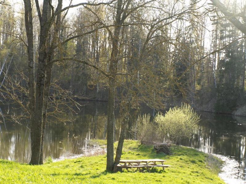 Photo 42