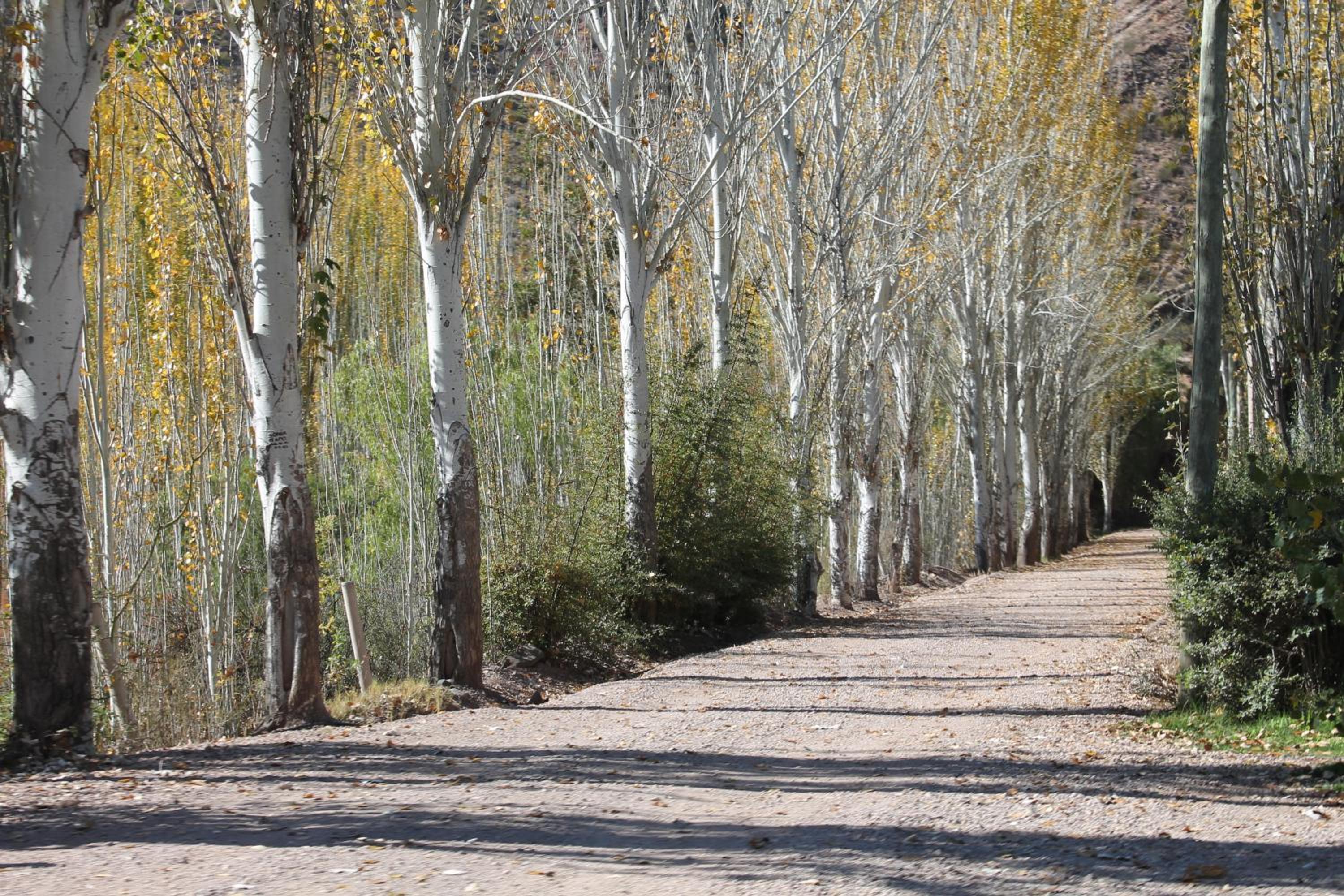 Posada de Campo Pura Vida
