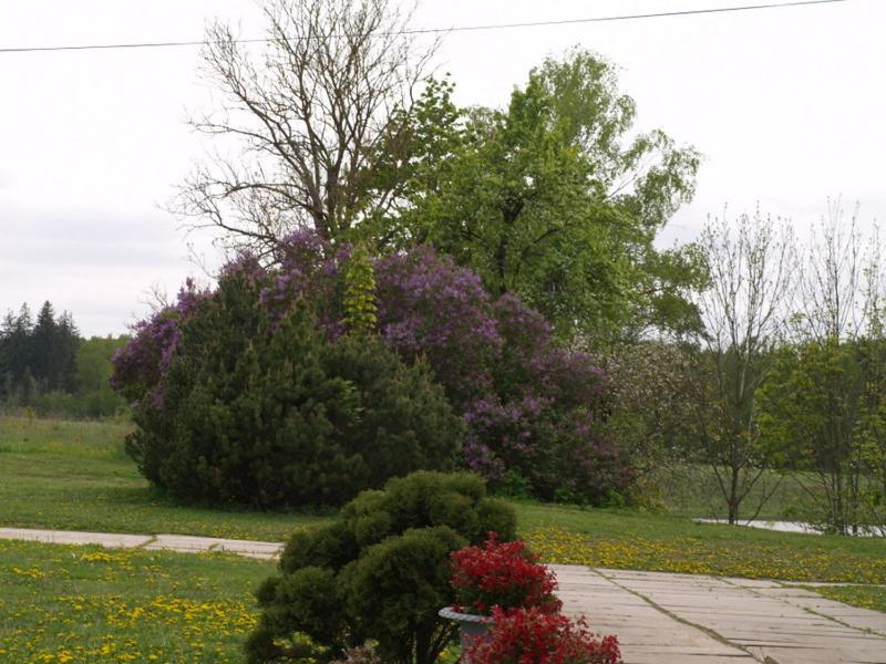 Photo 57