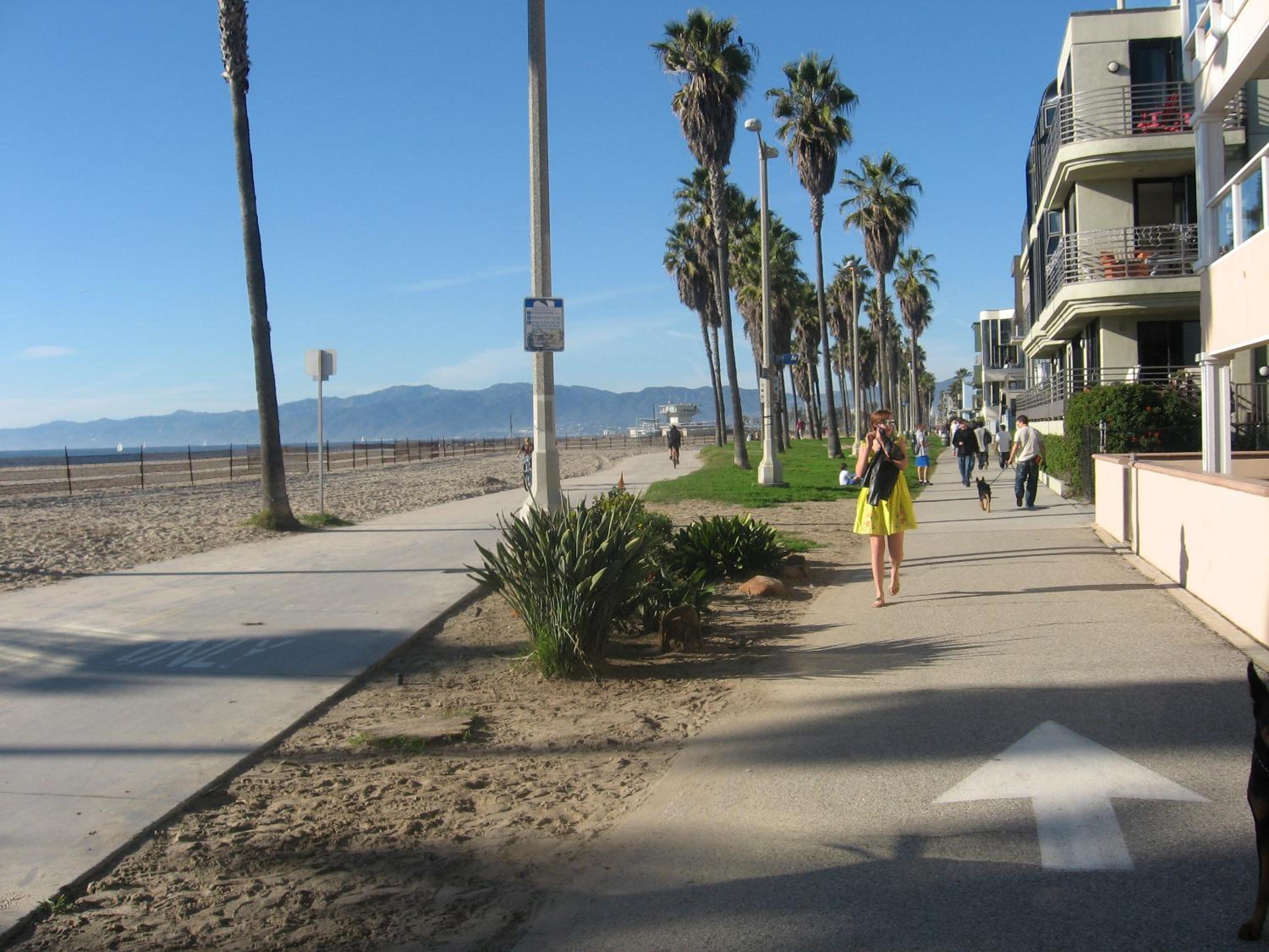 Venice Beach Delight