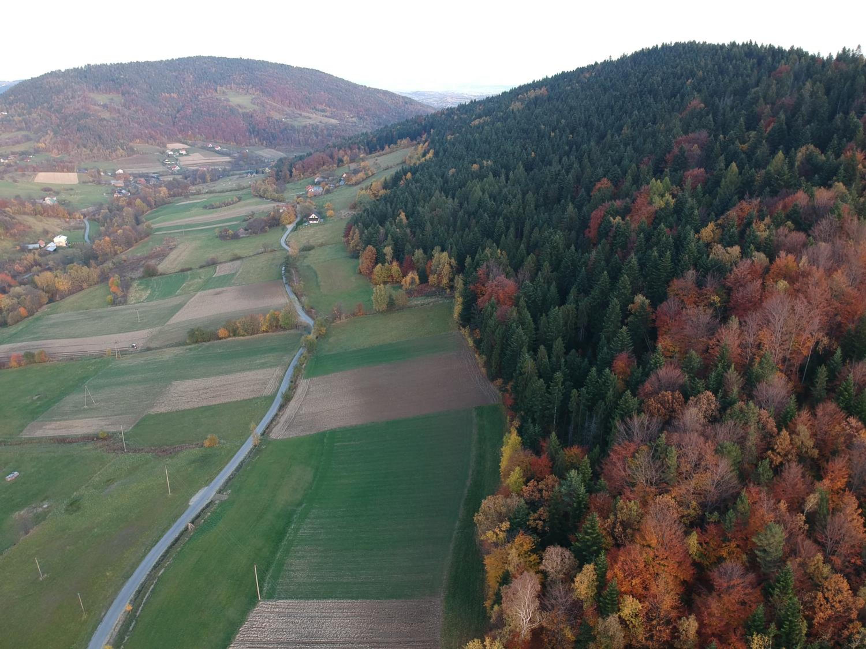 Malinowy Domek view 3