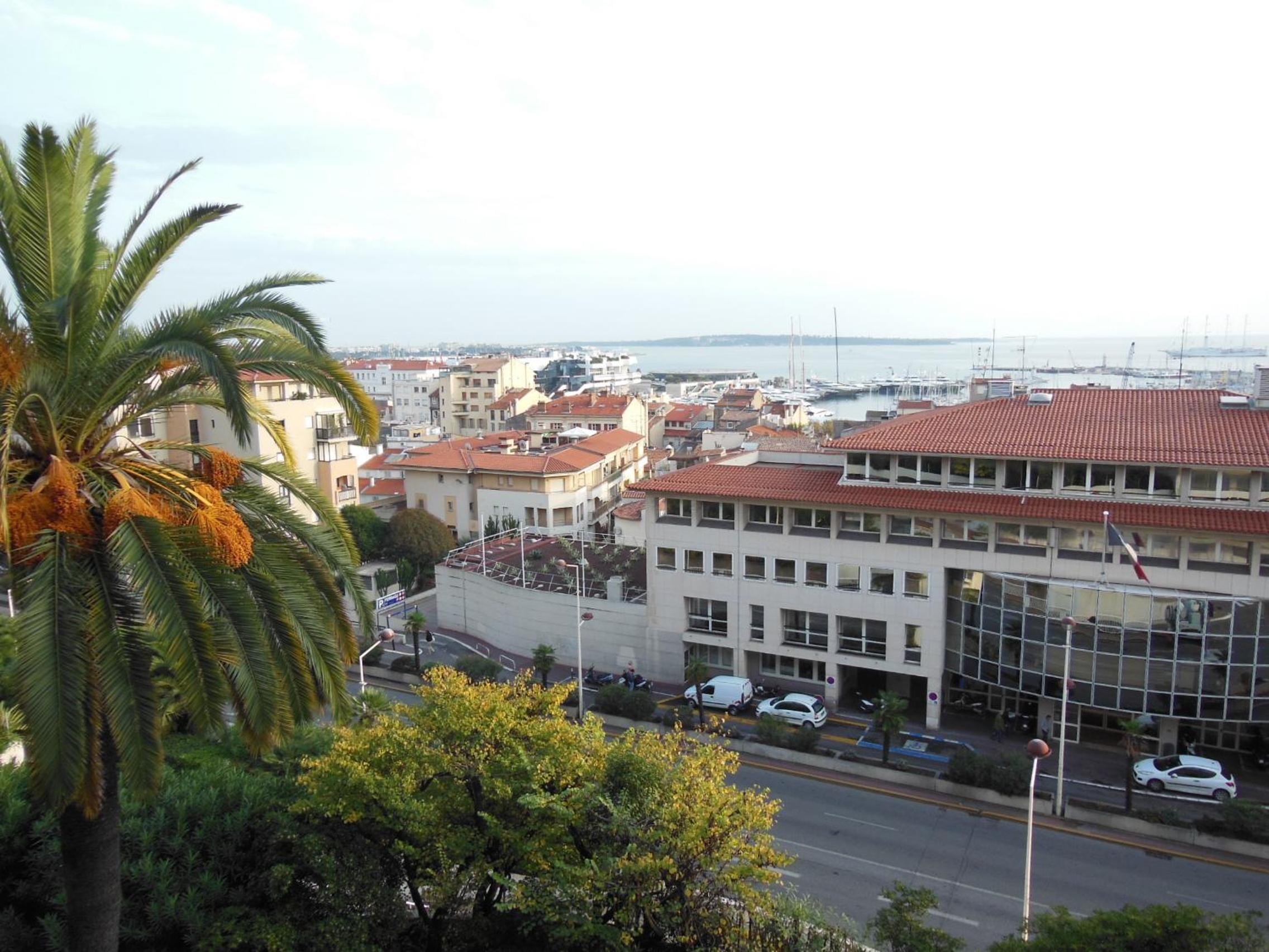 Photo 41