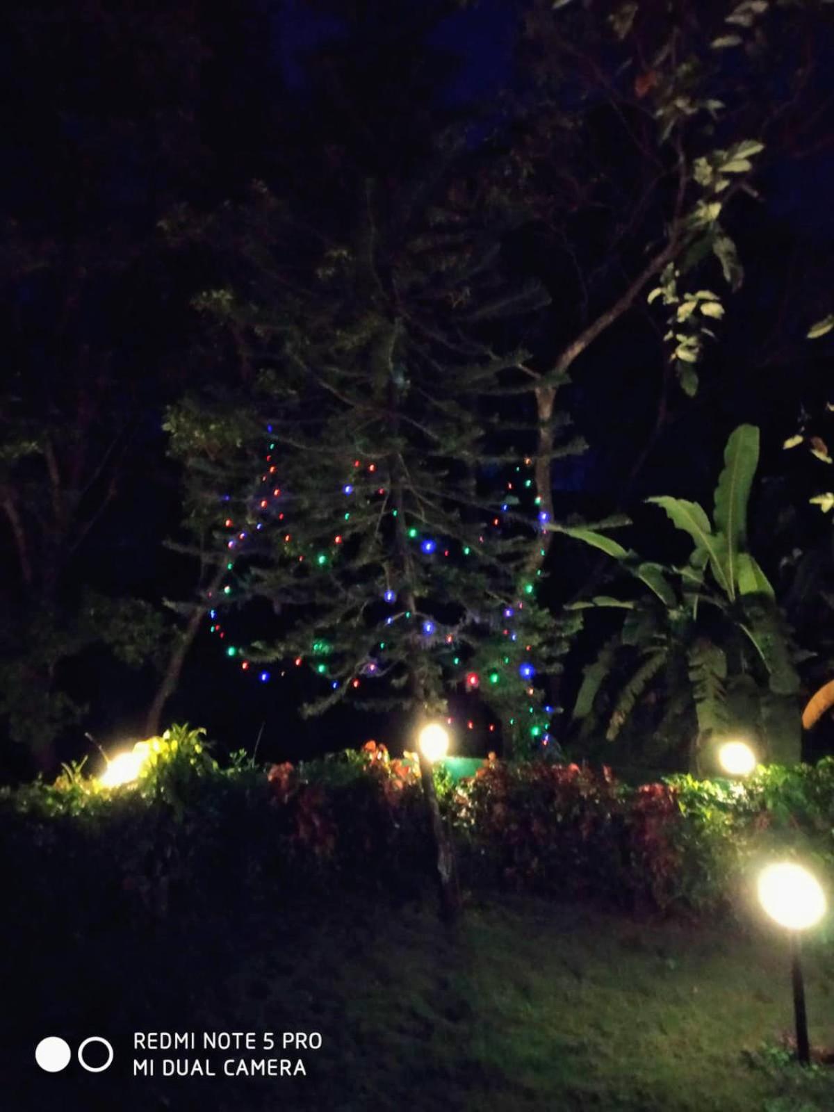 Leela's Cottage