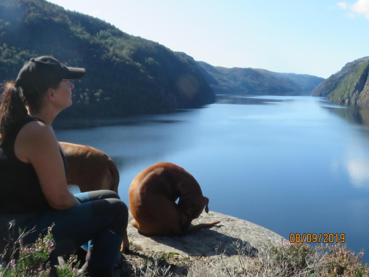 Photo 20