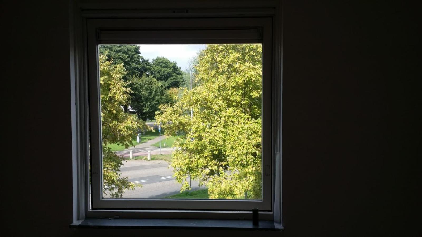 Little Amsterdam view 3