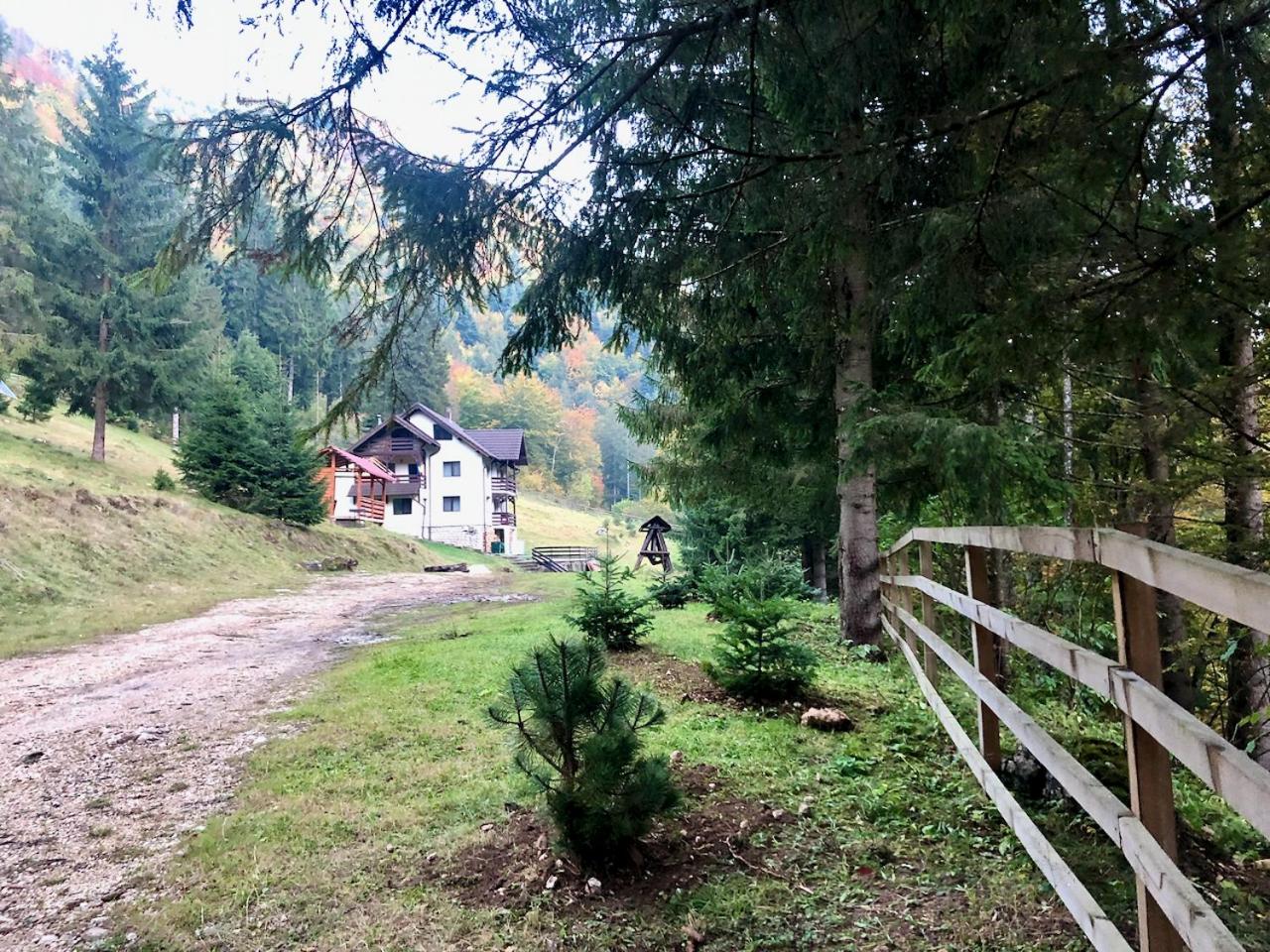 Cabana Caprioara - Piatra Craiului view 4
