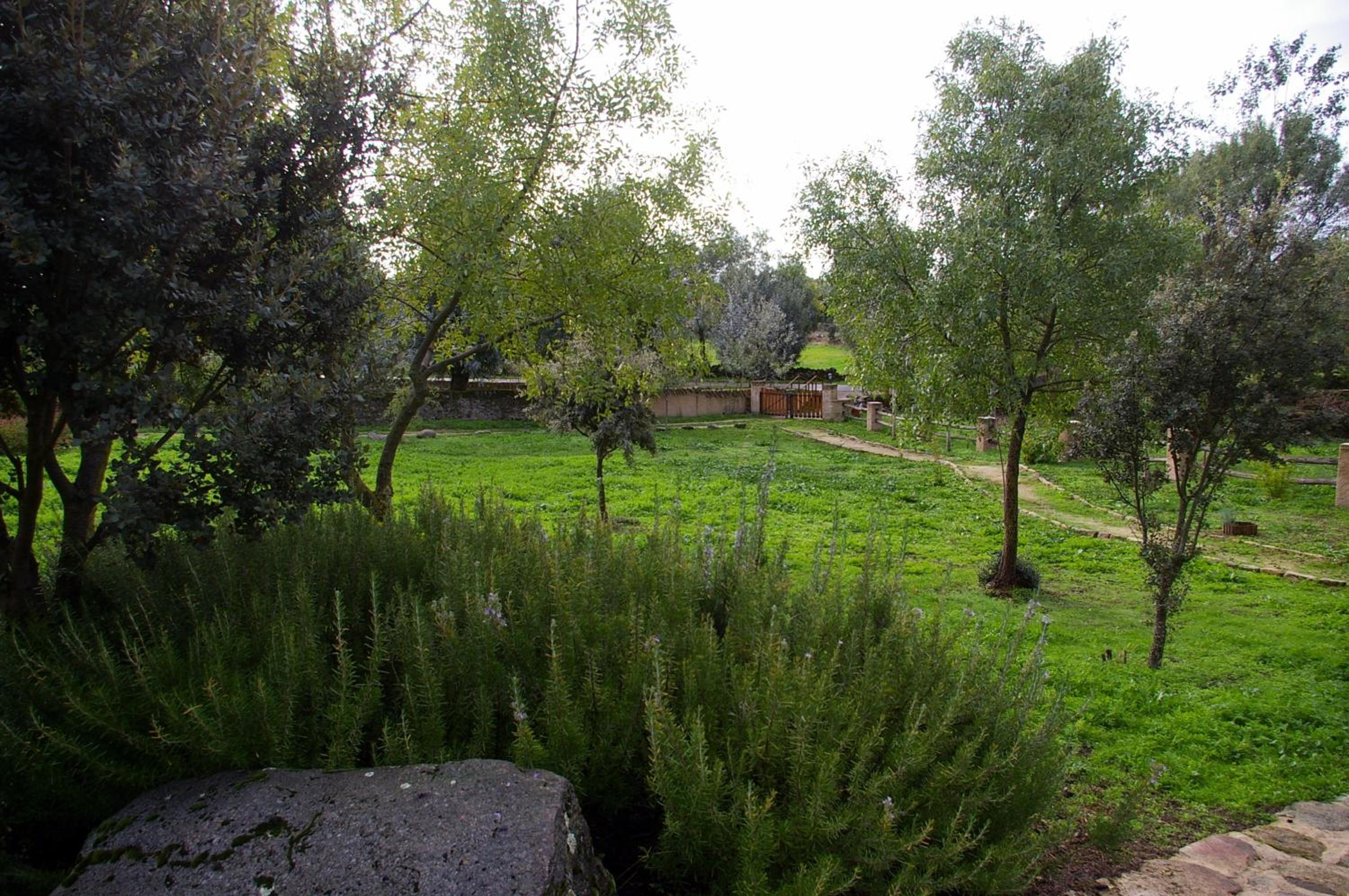 Photo 43