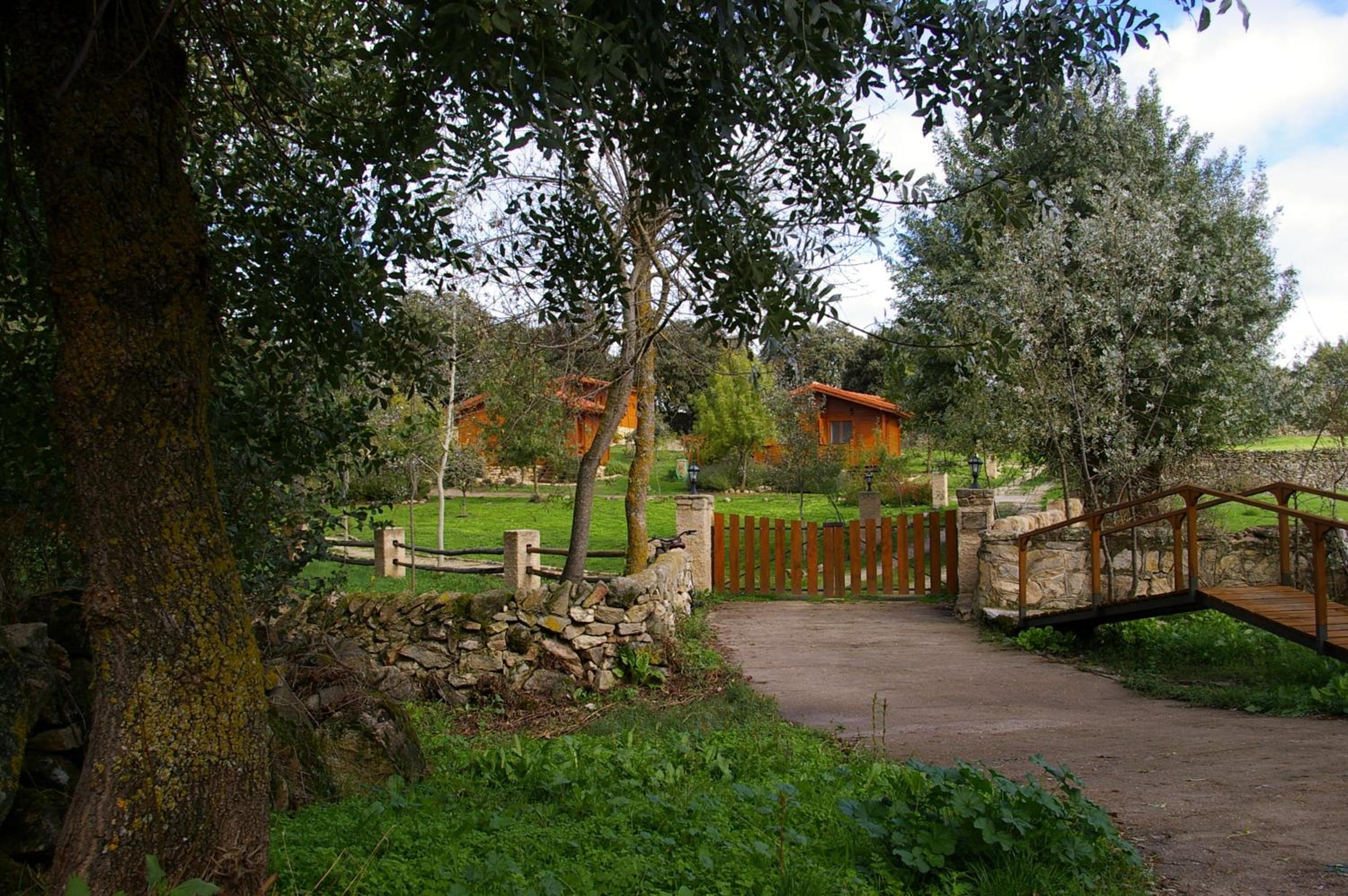 Photo 44
