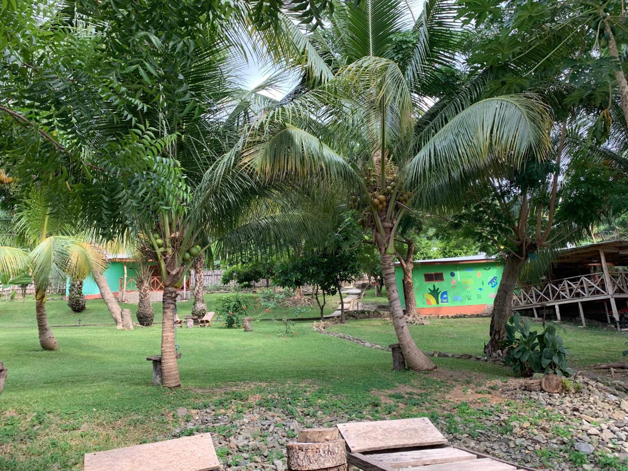 Photo 18