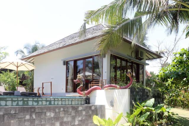Beach Villa Balian view 4