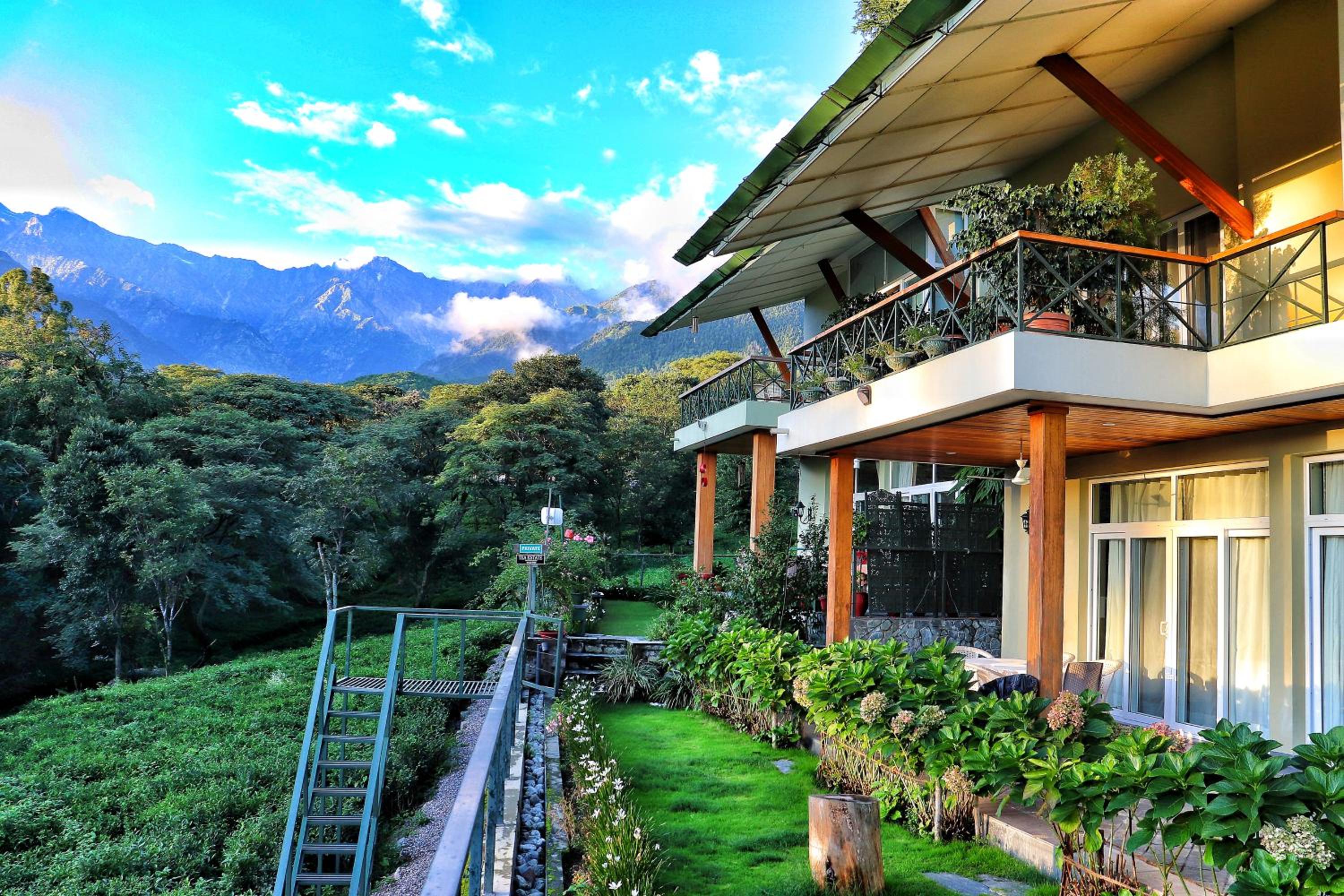 Lamrin Norwood Green Palampur, Himachal Pradesh