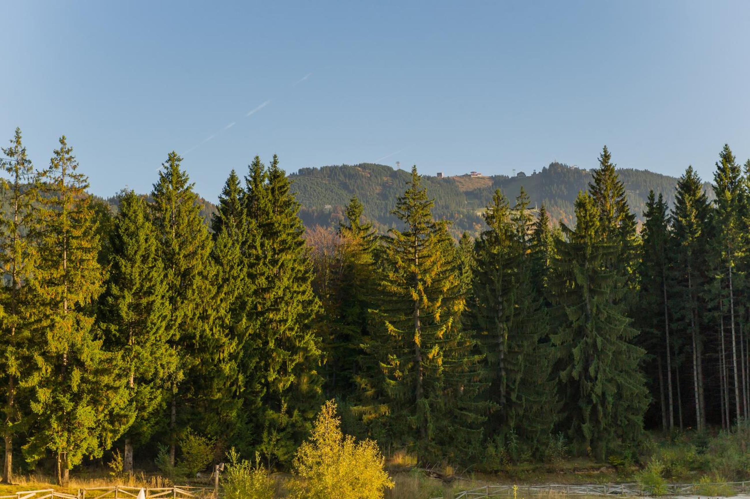 Nature Retreat 2 bedroom apartment Silver Mountain view 4