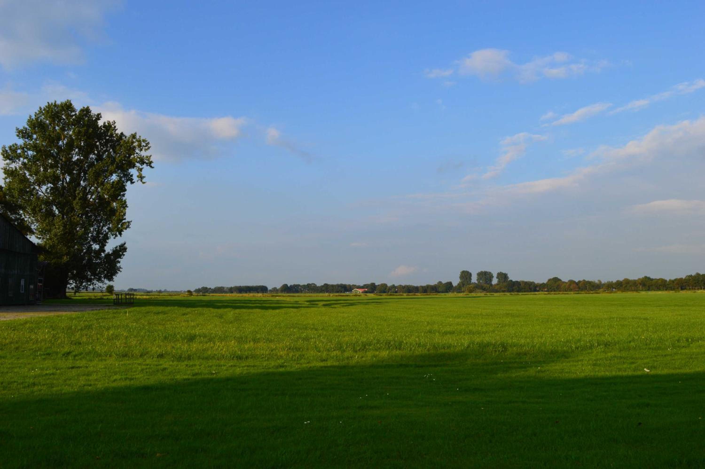 Ferienwohnung Schmidt, 95131 view 5