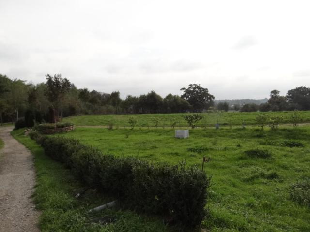 Logis de la Provosterie view 5