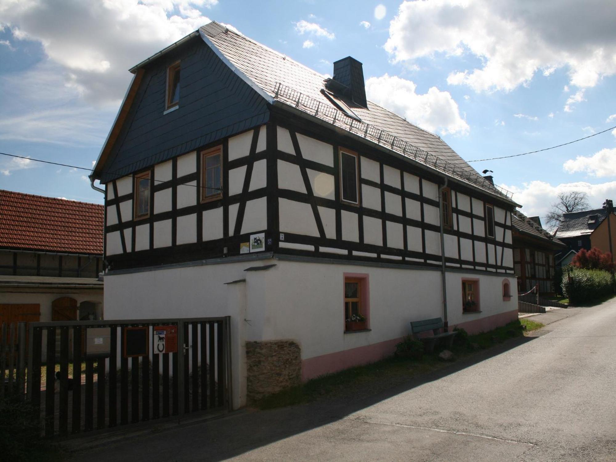 Pferd - Spaß - Entspannung view 4