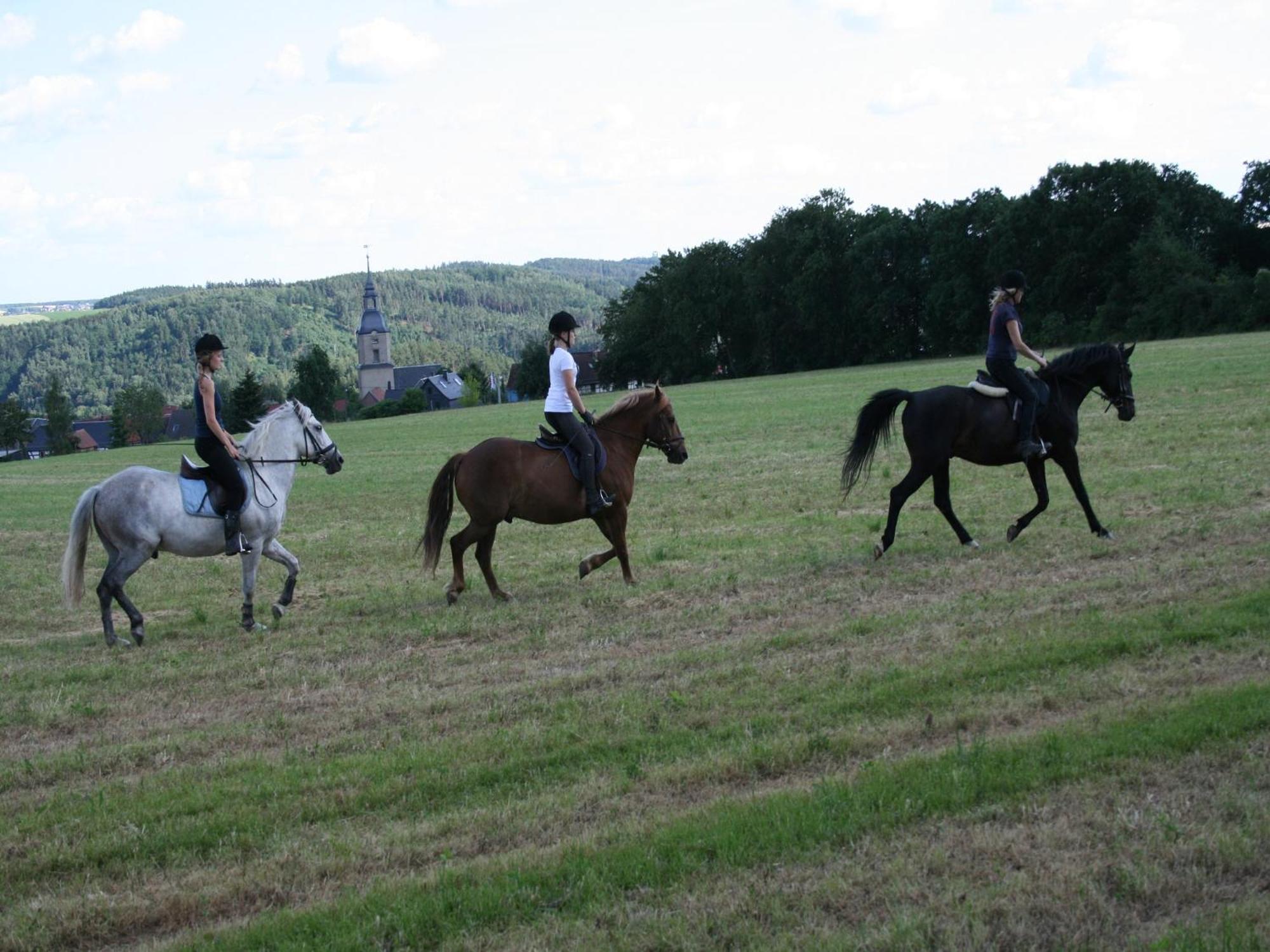 Pferd - Spaß - Entspannung view 2