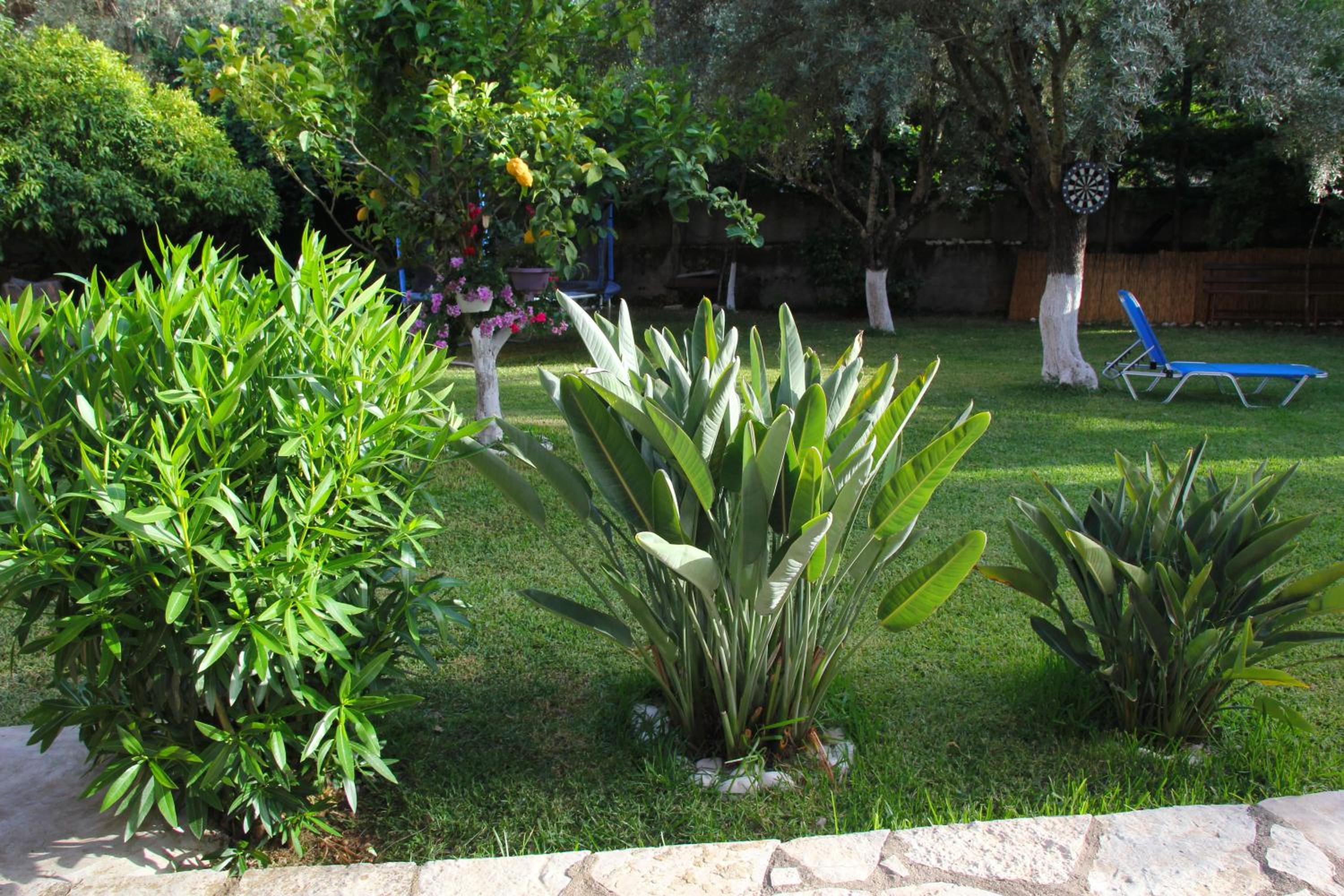 Villa Dimitra Nikiana