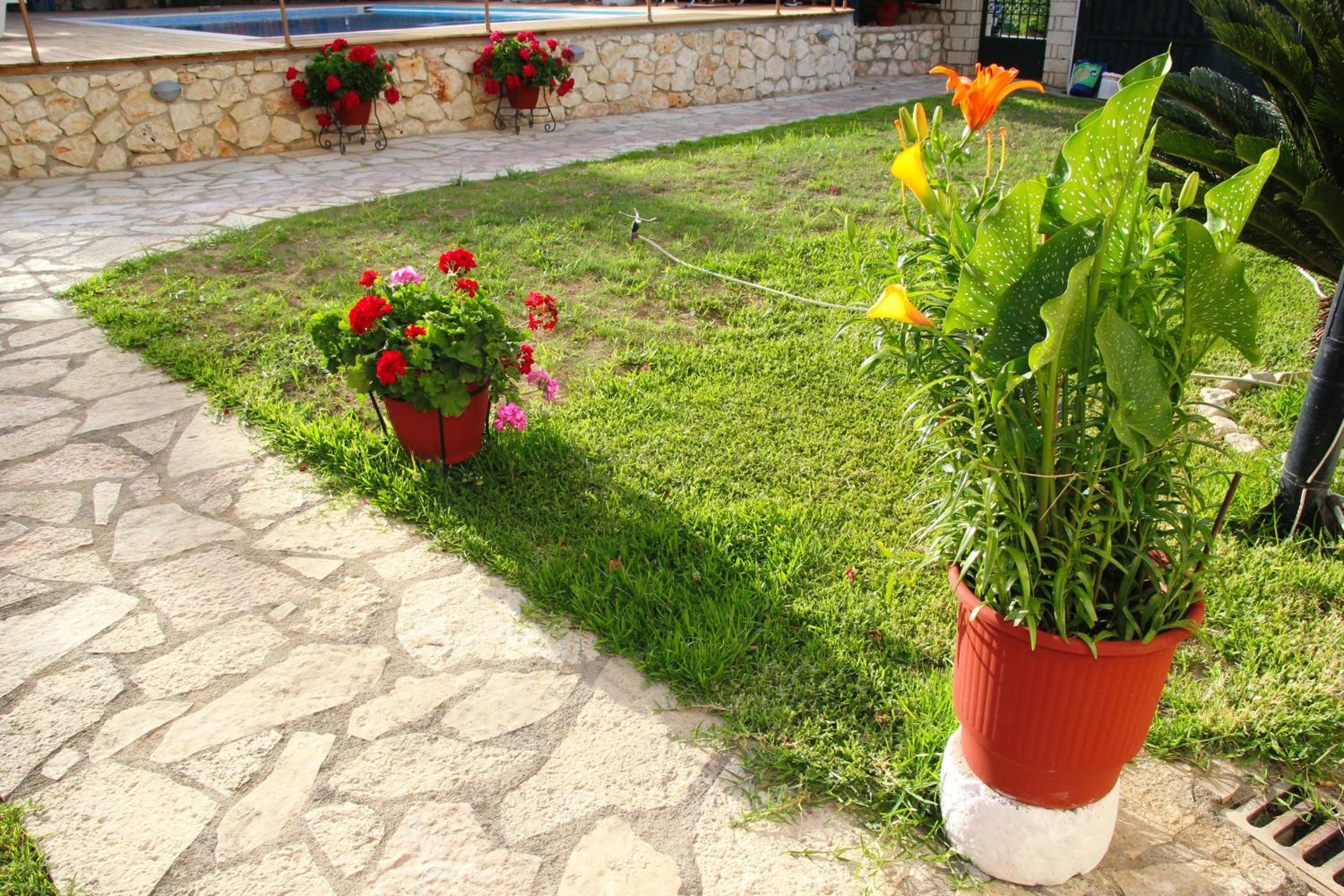 Villa Dimitra Nikiana