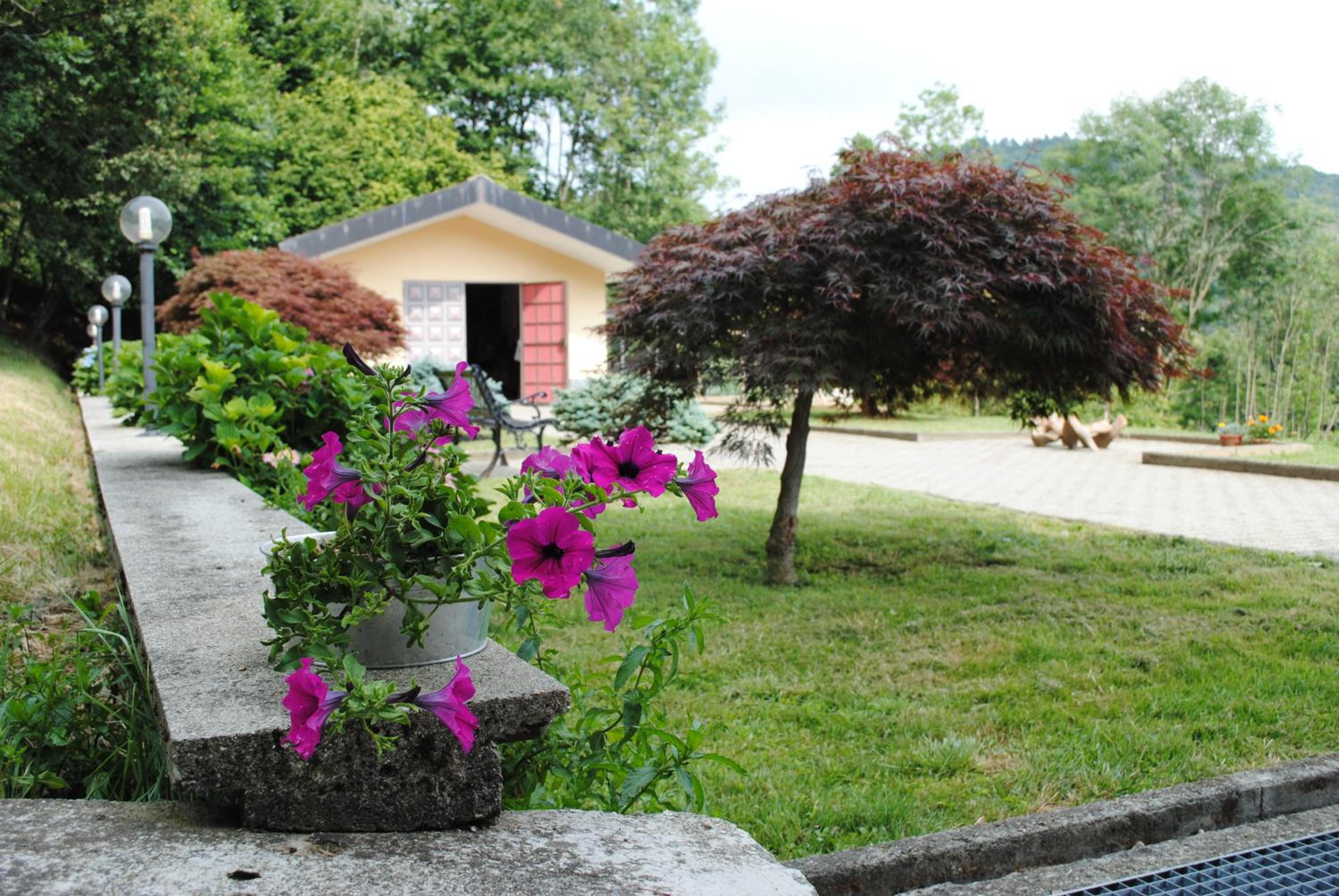 Appartamento La Casa nel Bosco view 3