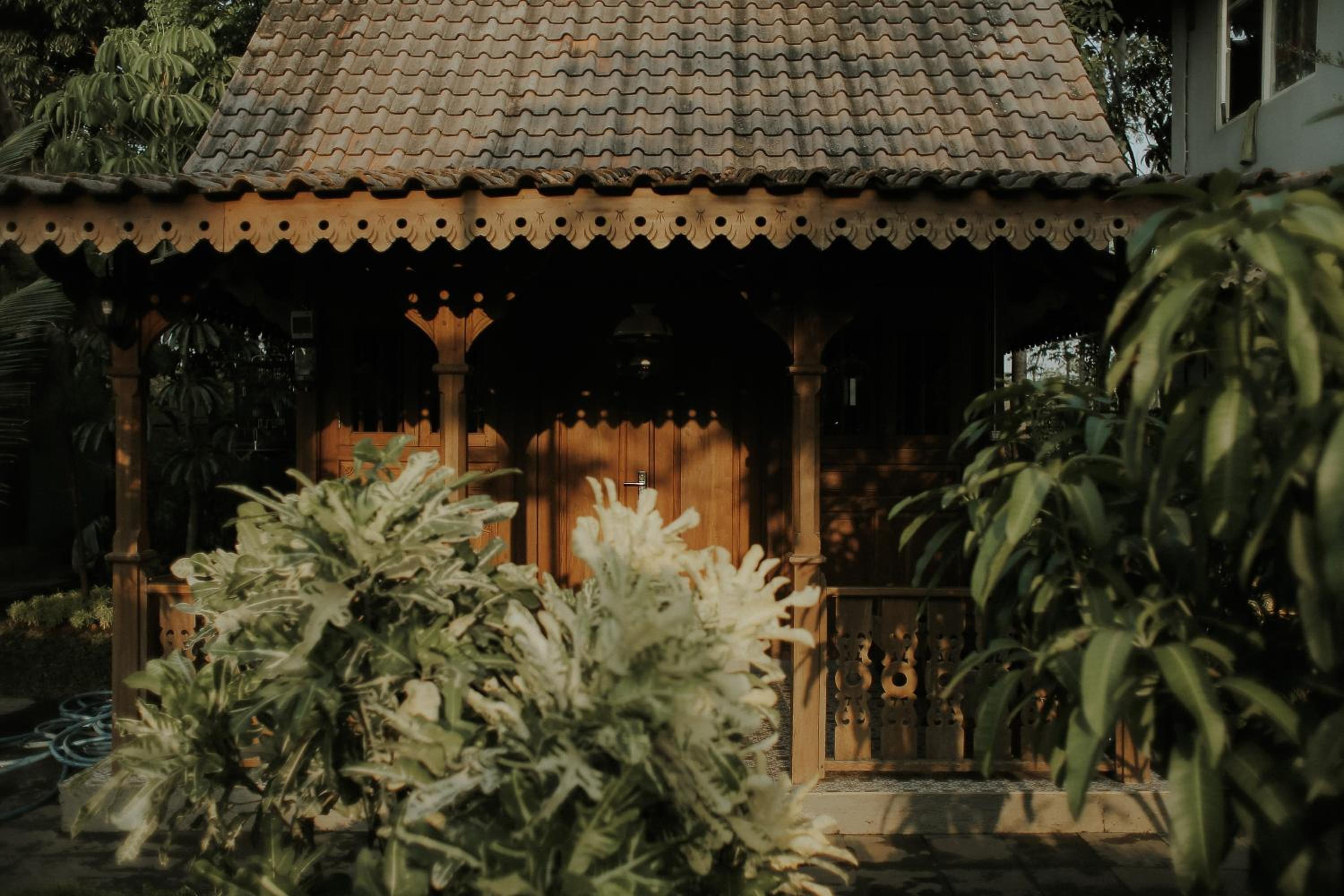 Photo 47