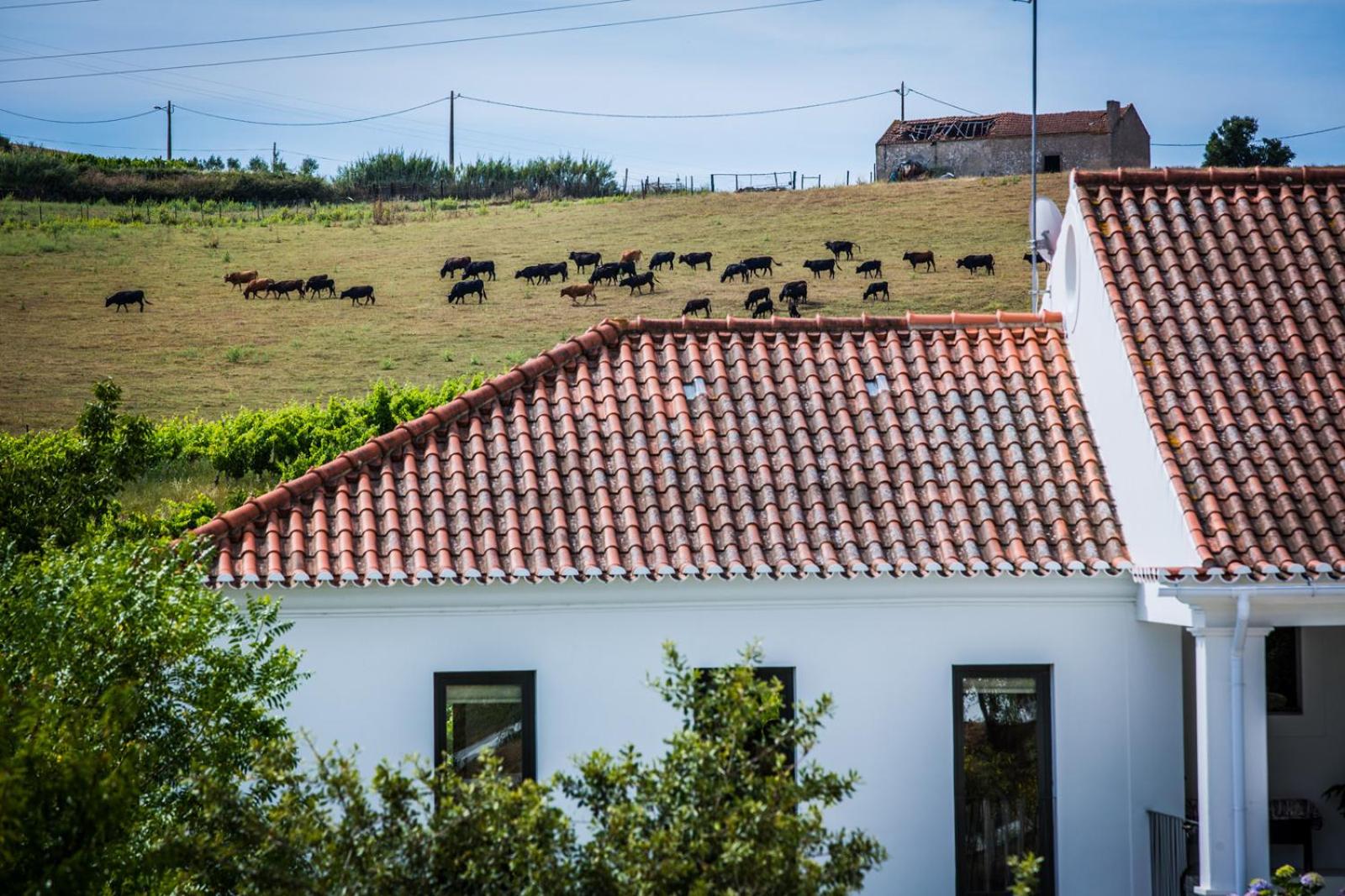 CAMBEIROS - Guest House