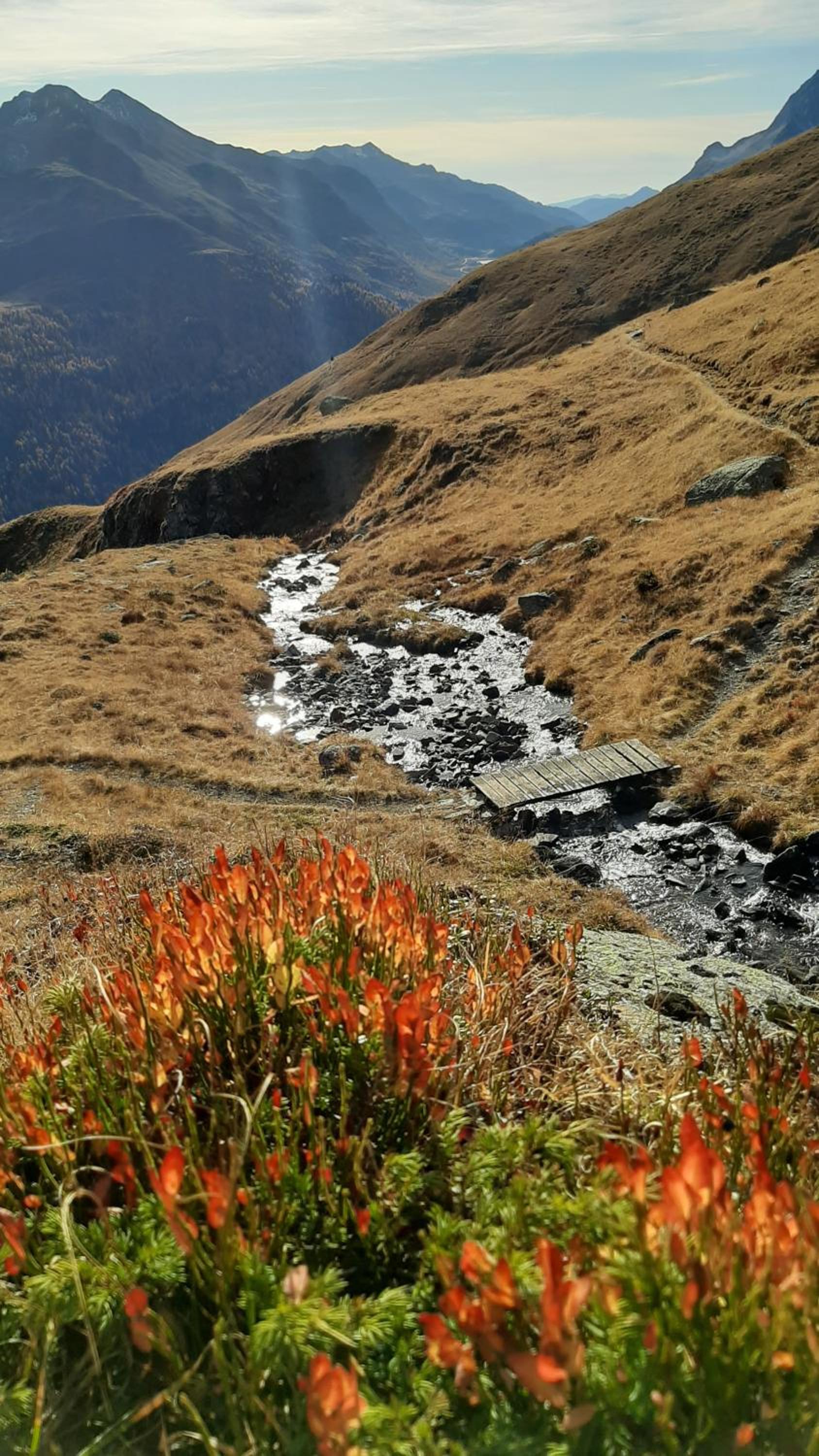 Pension Fürhapter mit Bio- Bauernhof