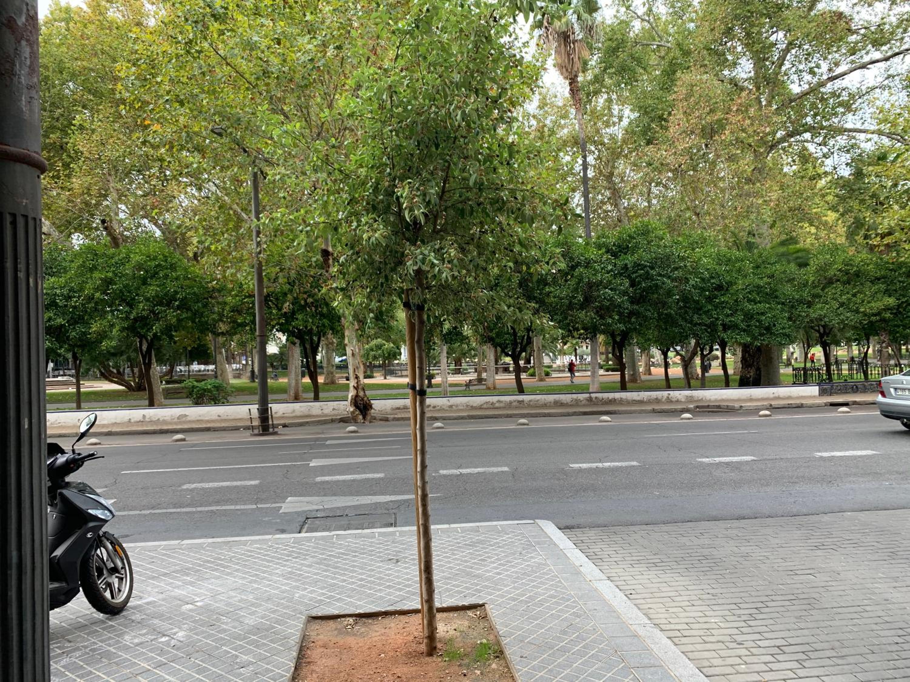 Jardines de Cervantes view 3