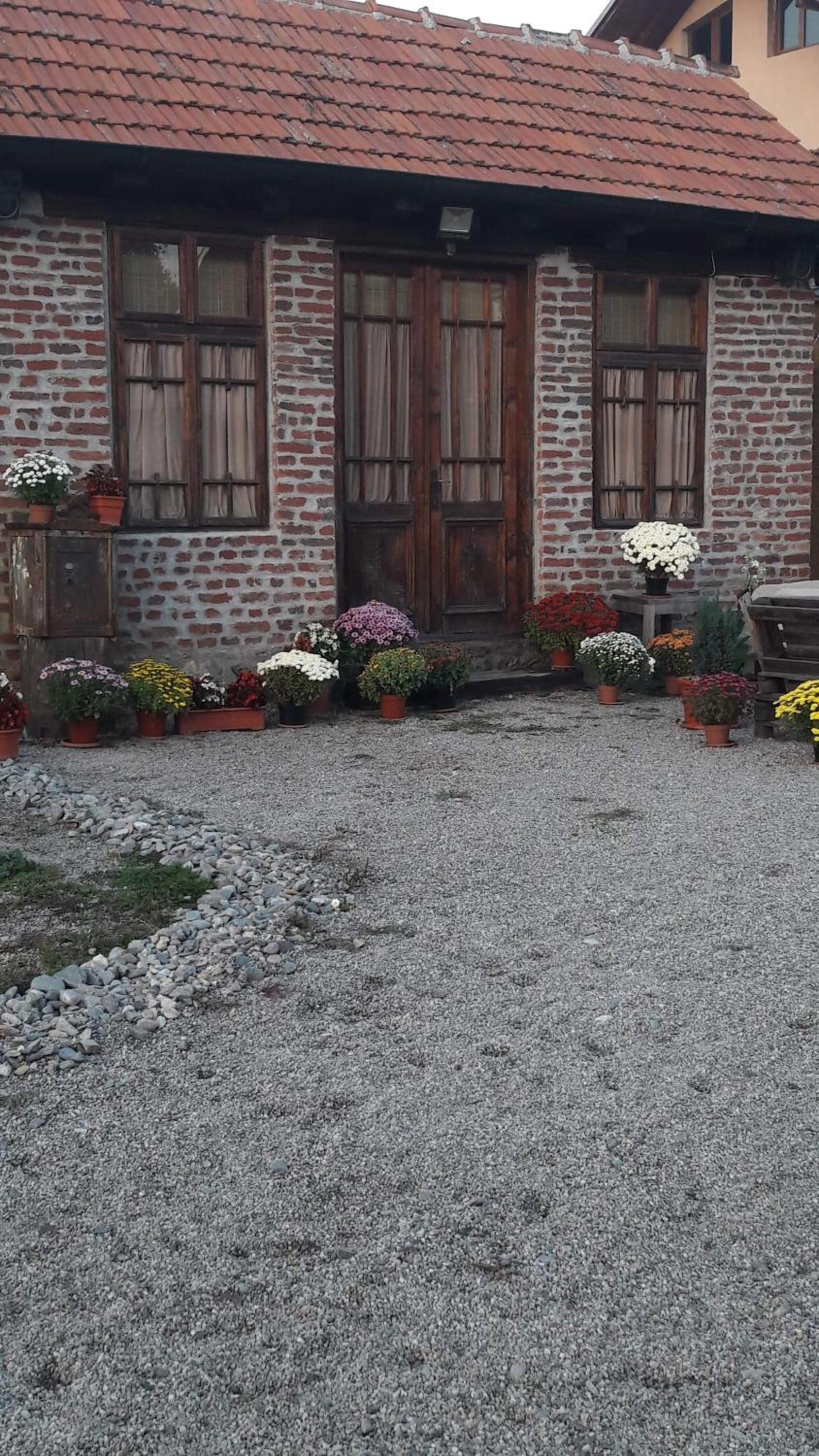 Photo 46