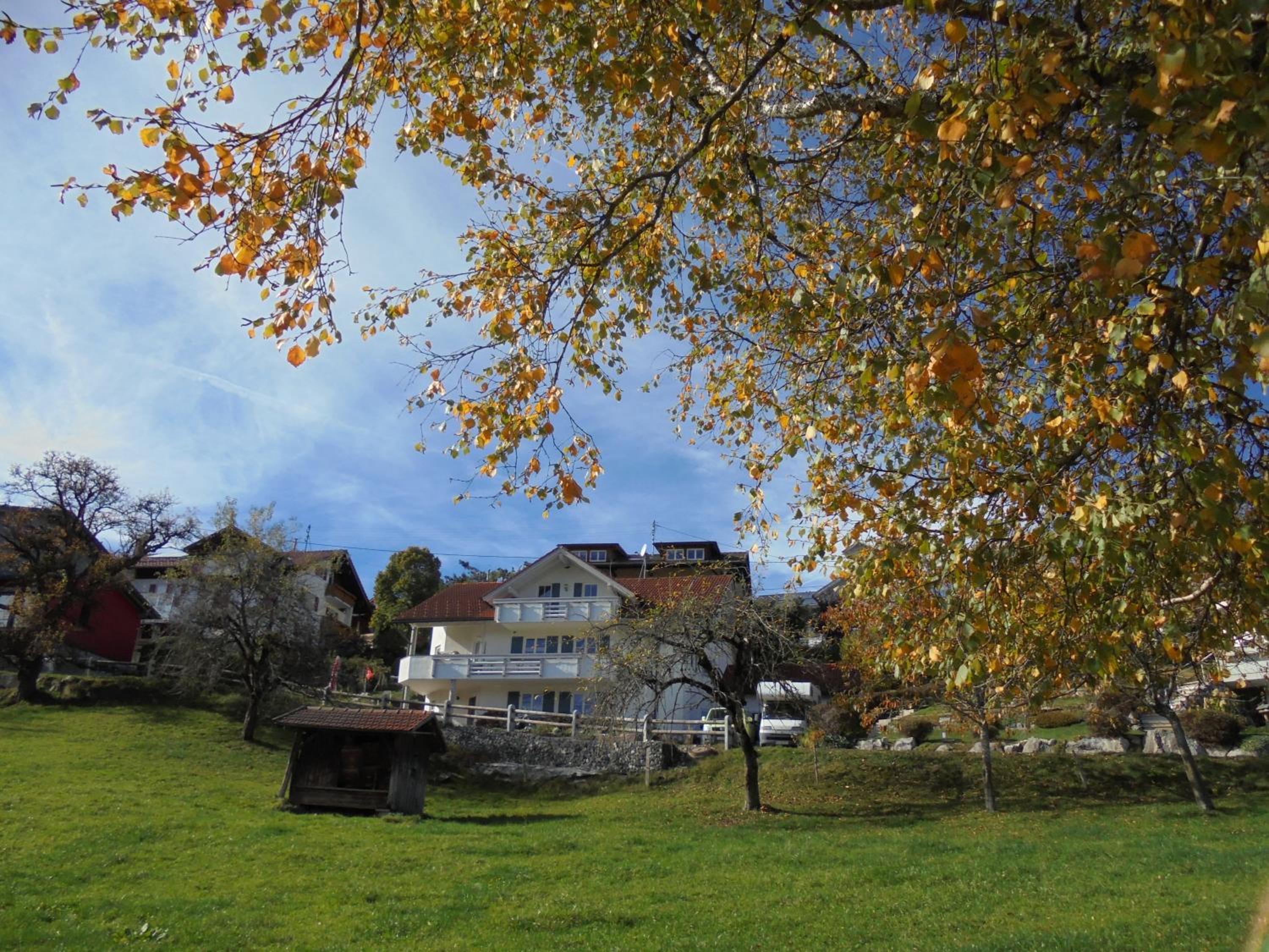 Photo 24