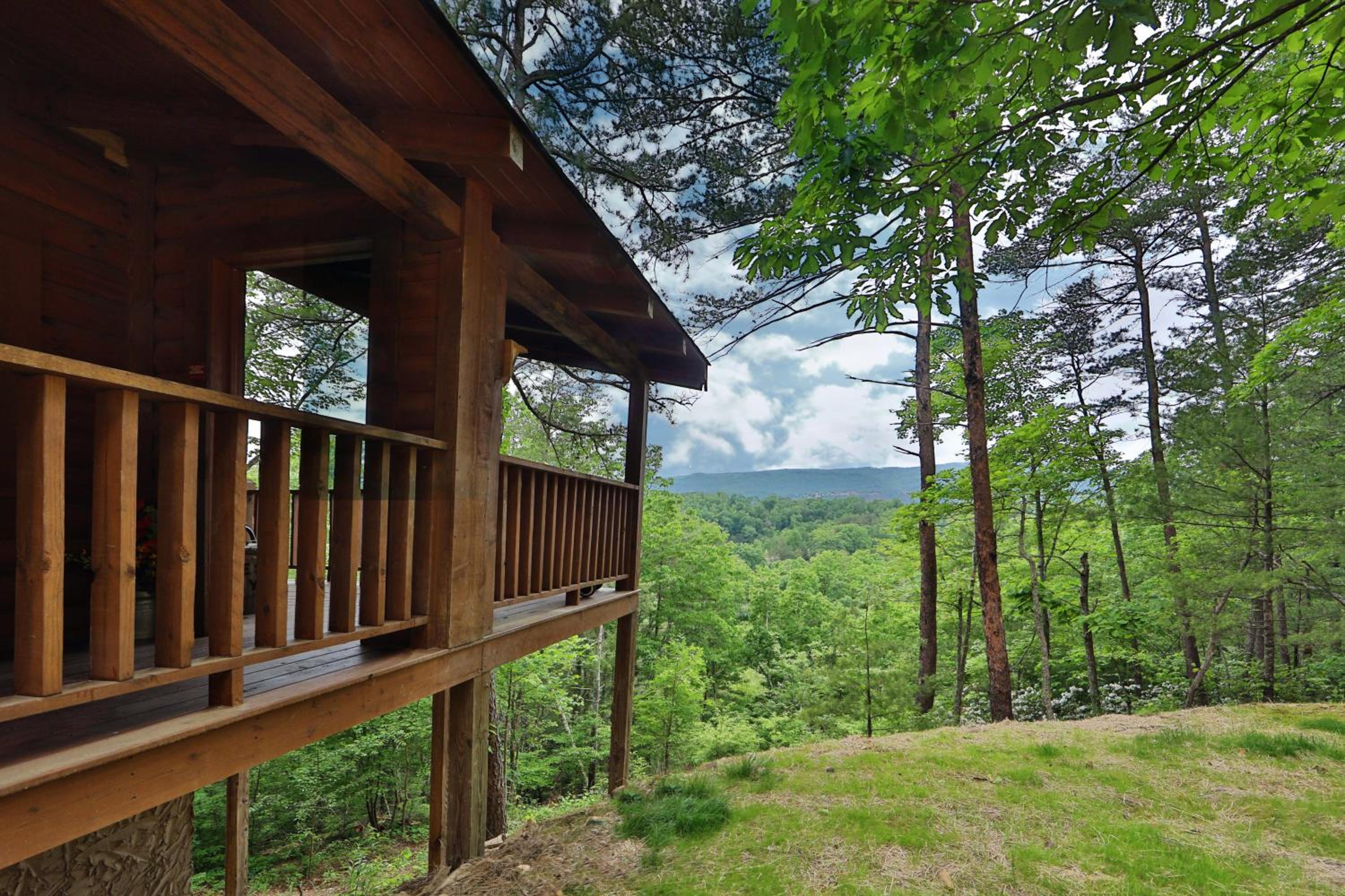 Handsome Hillbilly view 2
