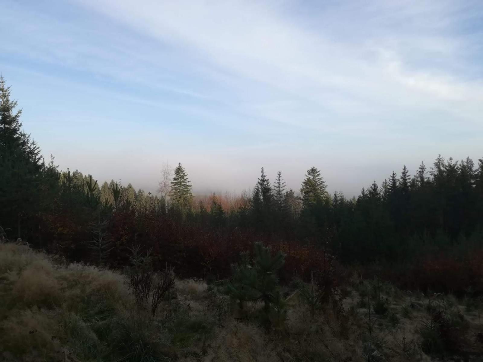 Novohradky - Oáza klidu na samotě u lesa