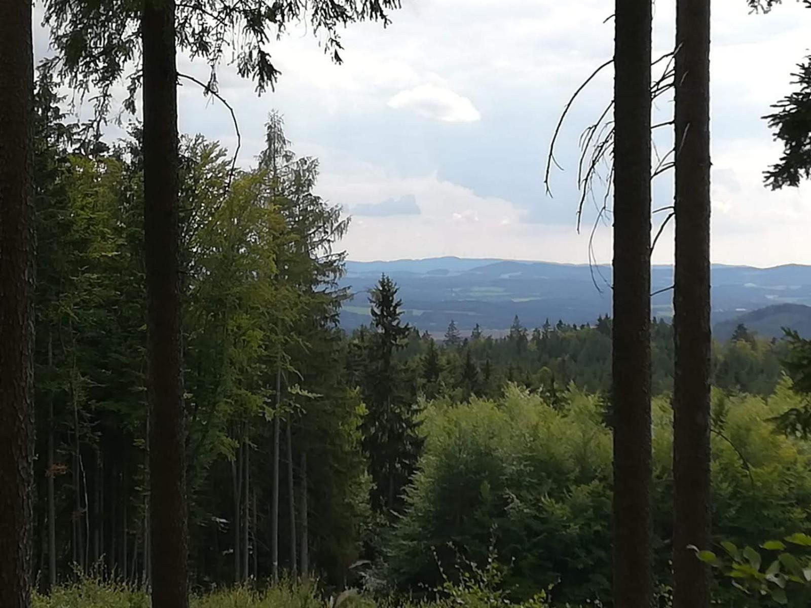Novohradky - Oáza klidu na samotě u lesa
