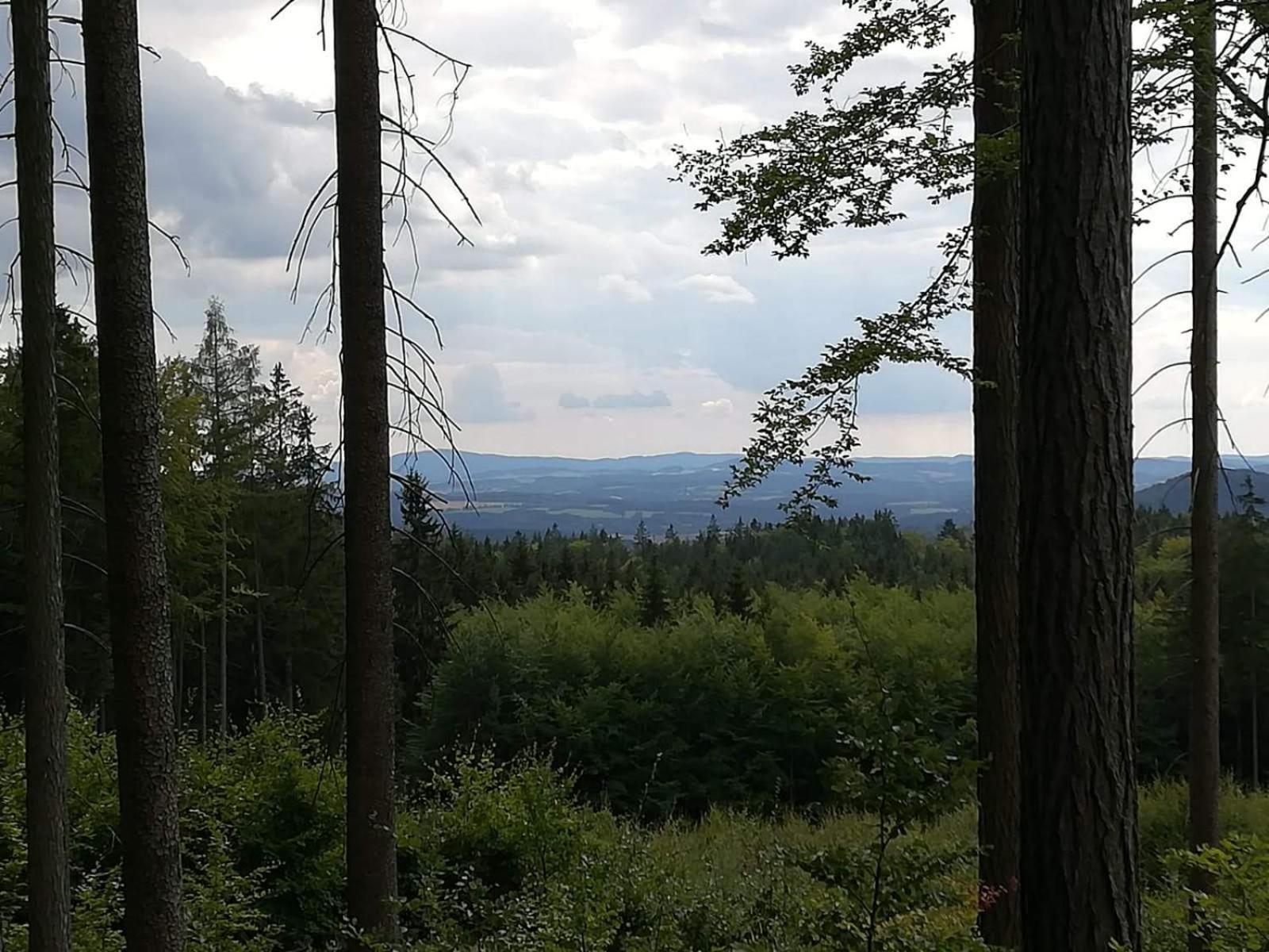 Novohradky - Oáza klidu na samotě u lesa