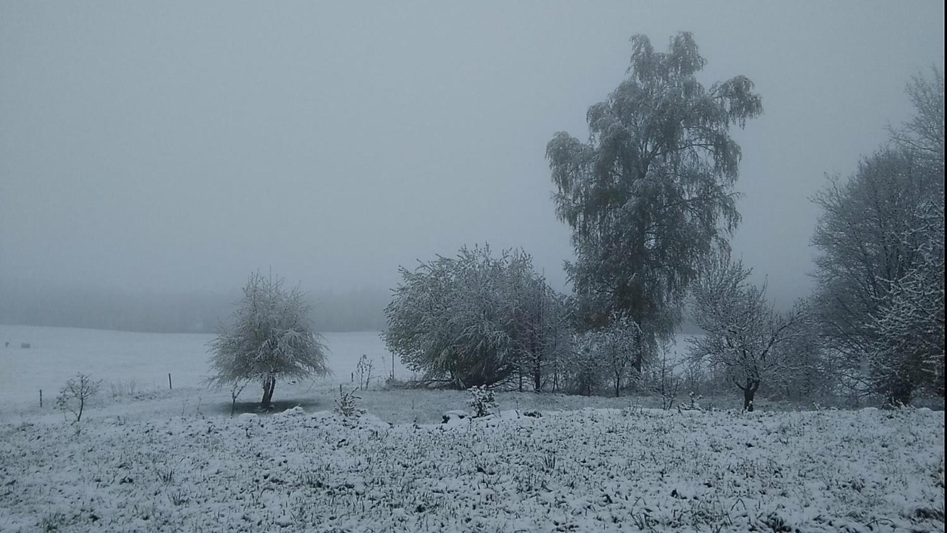 Novohradky - Oáza klidu na samotě u lesa