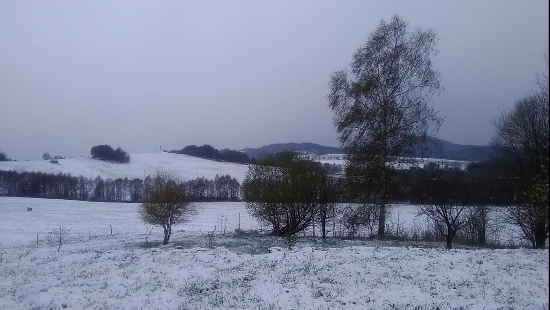 Novohradky - Oáza klidu na samotě u lesa