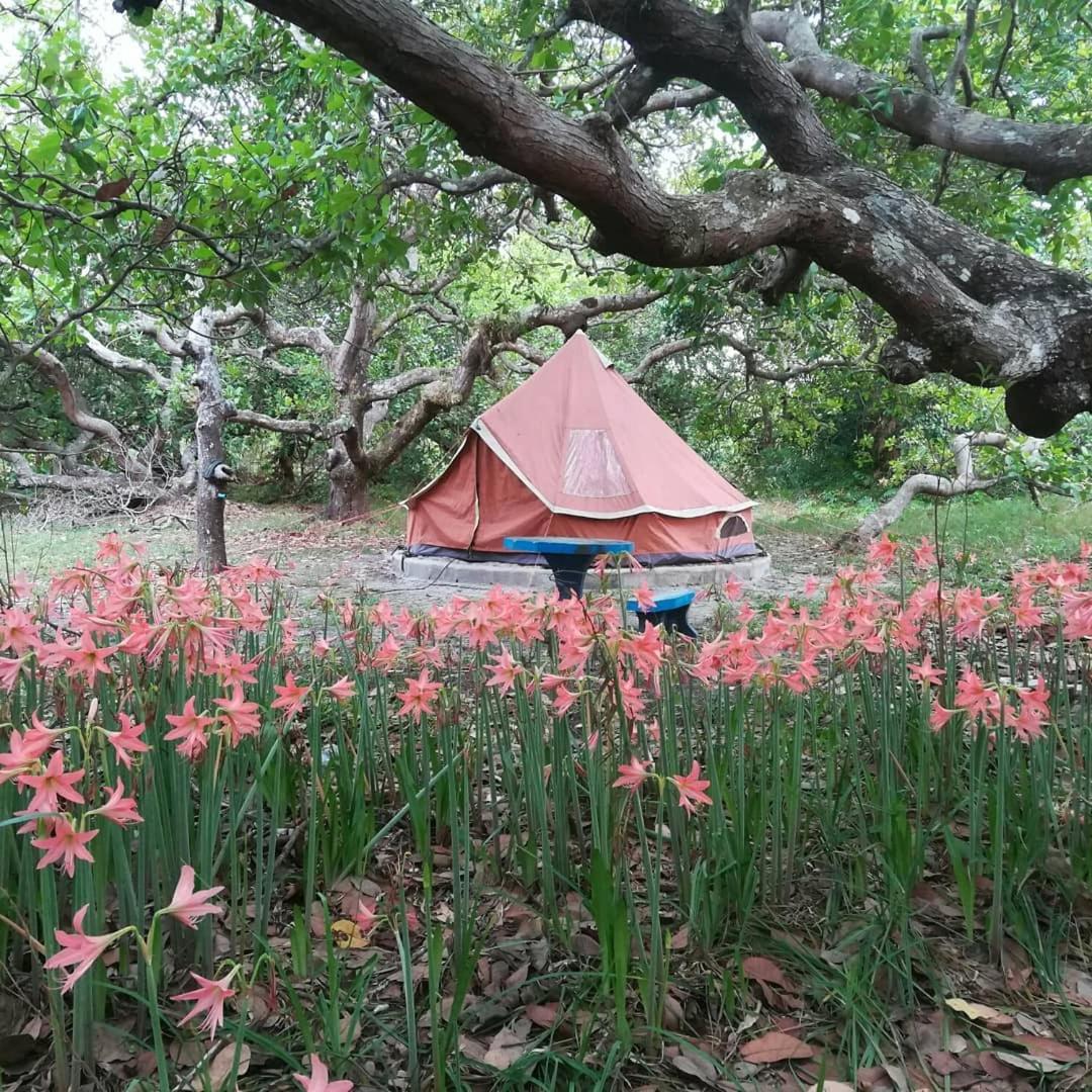 Cashew Nut Bungalow, Ko Mook