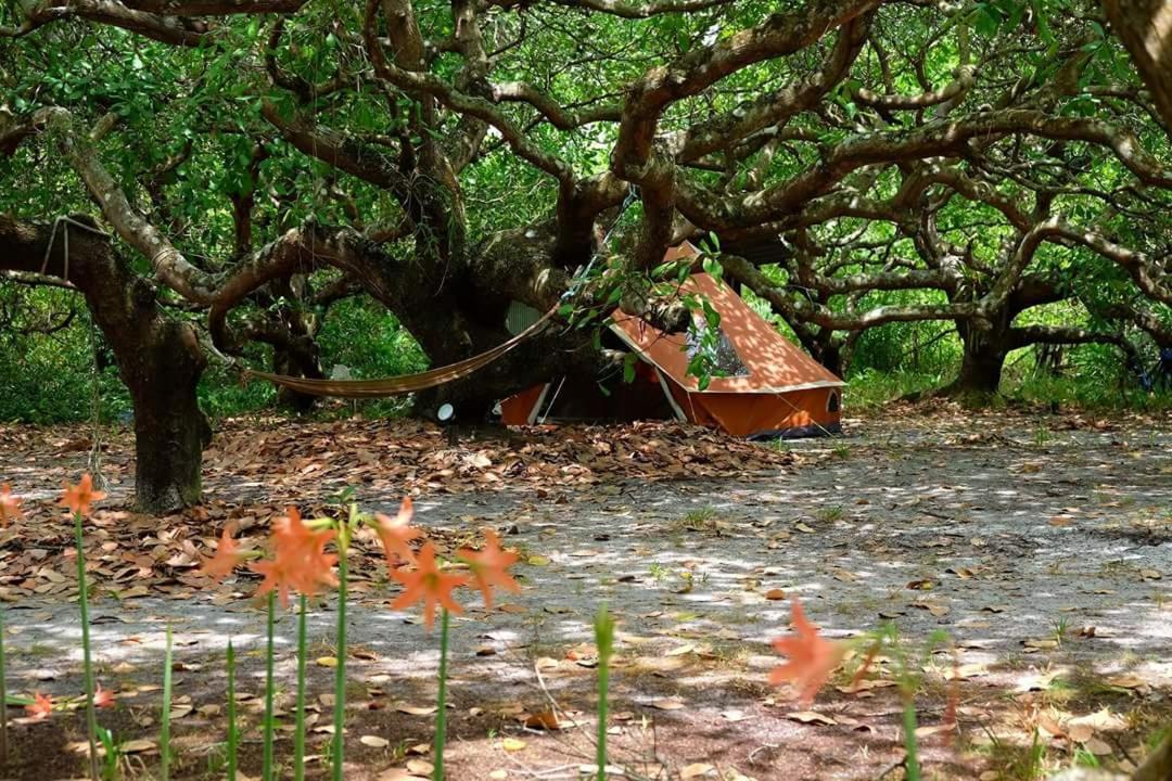 Cashew Nut Bungalow, Ko Mook