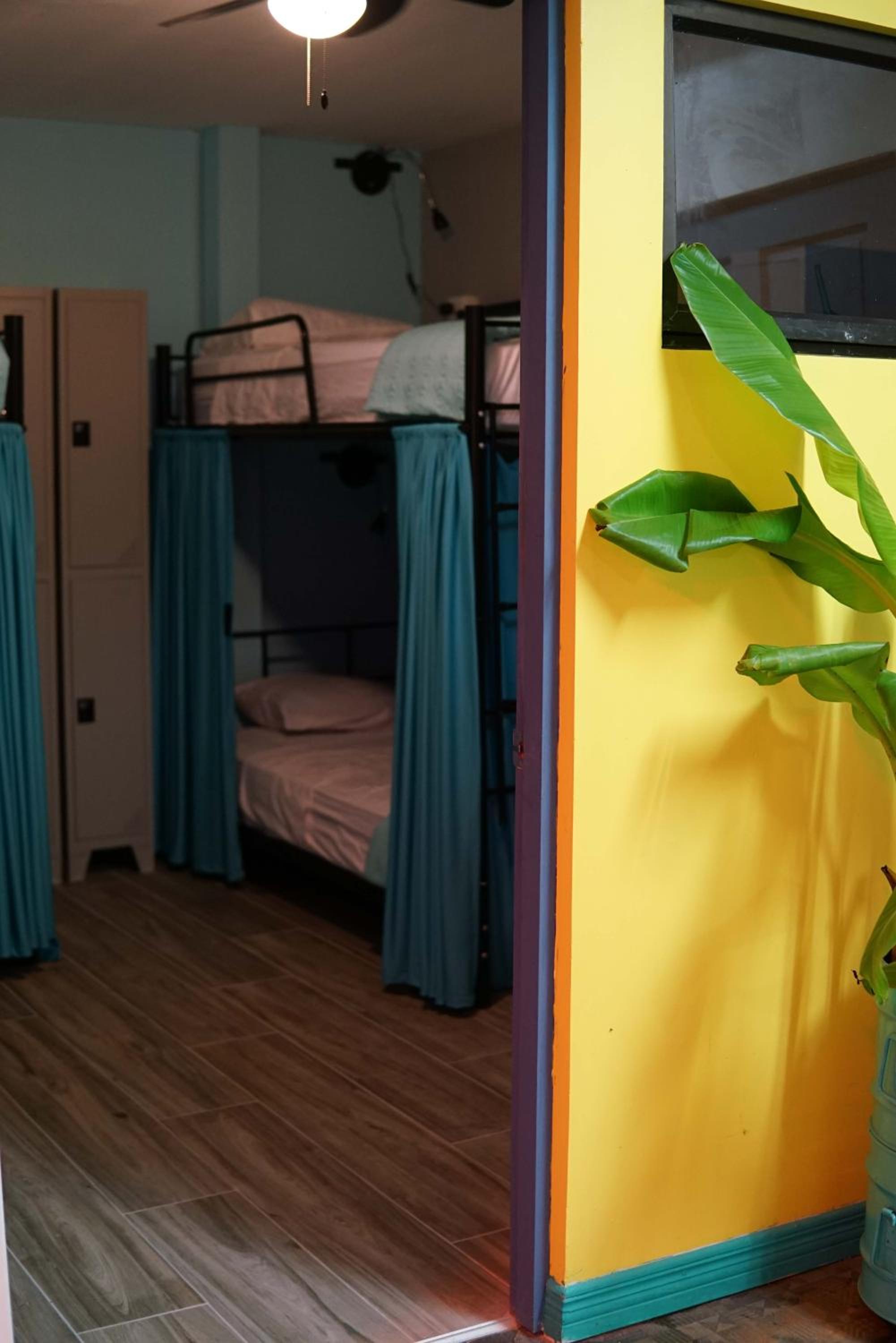 NATIVUS Art-Hostel - Property Image 92