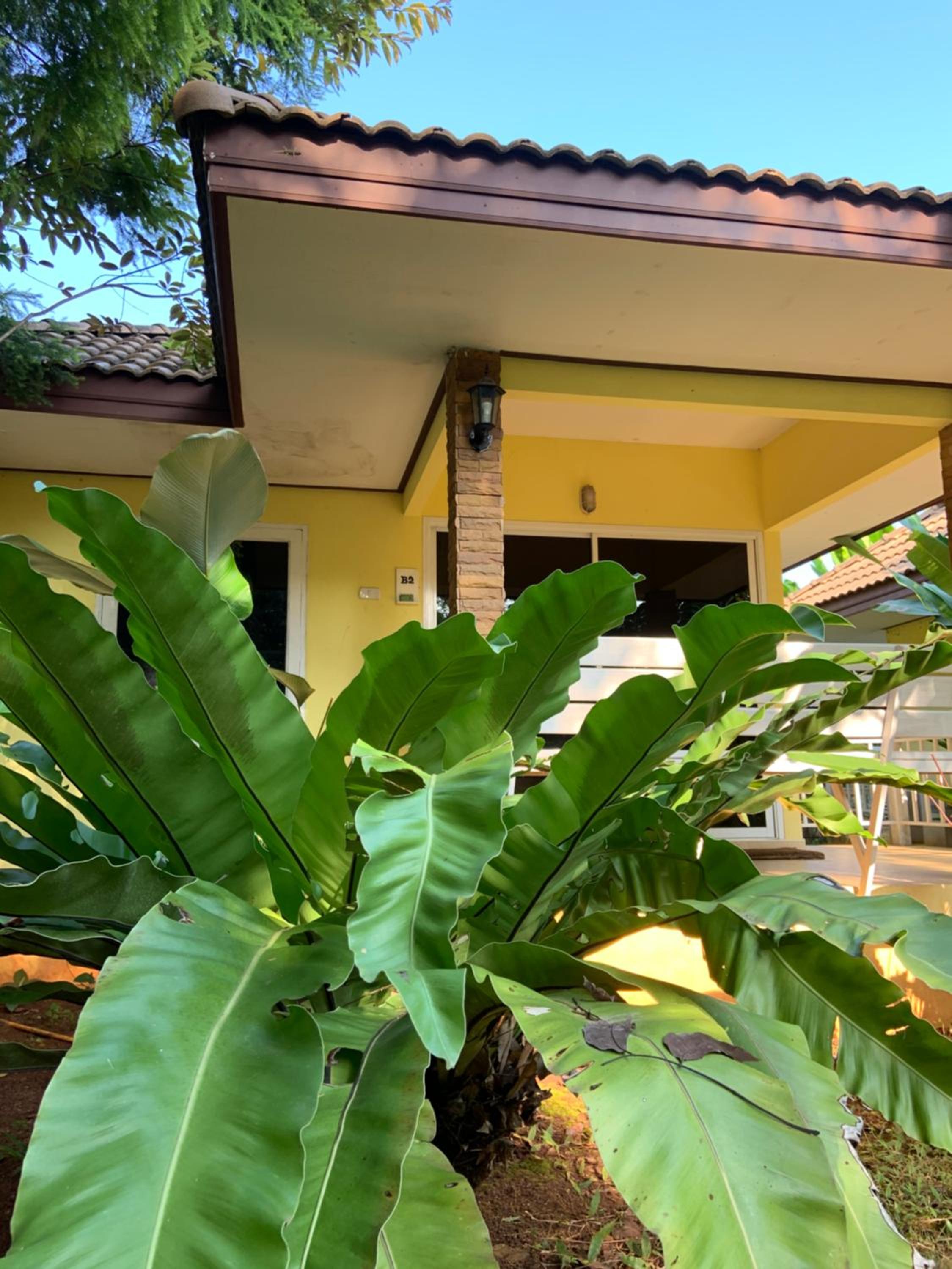 Khao Yai Cottage