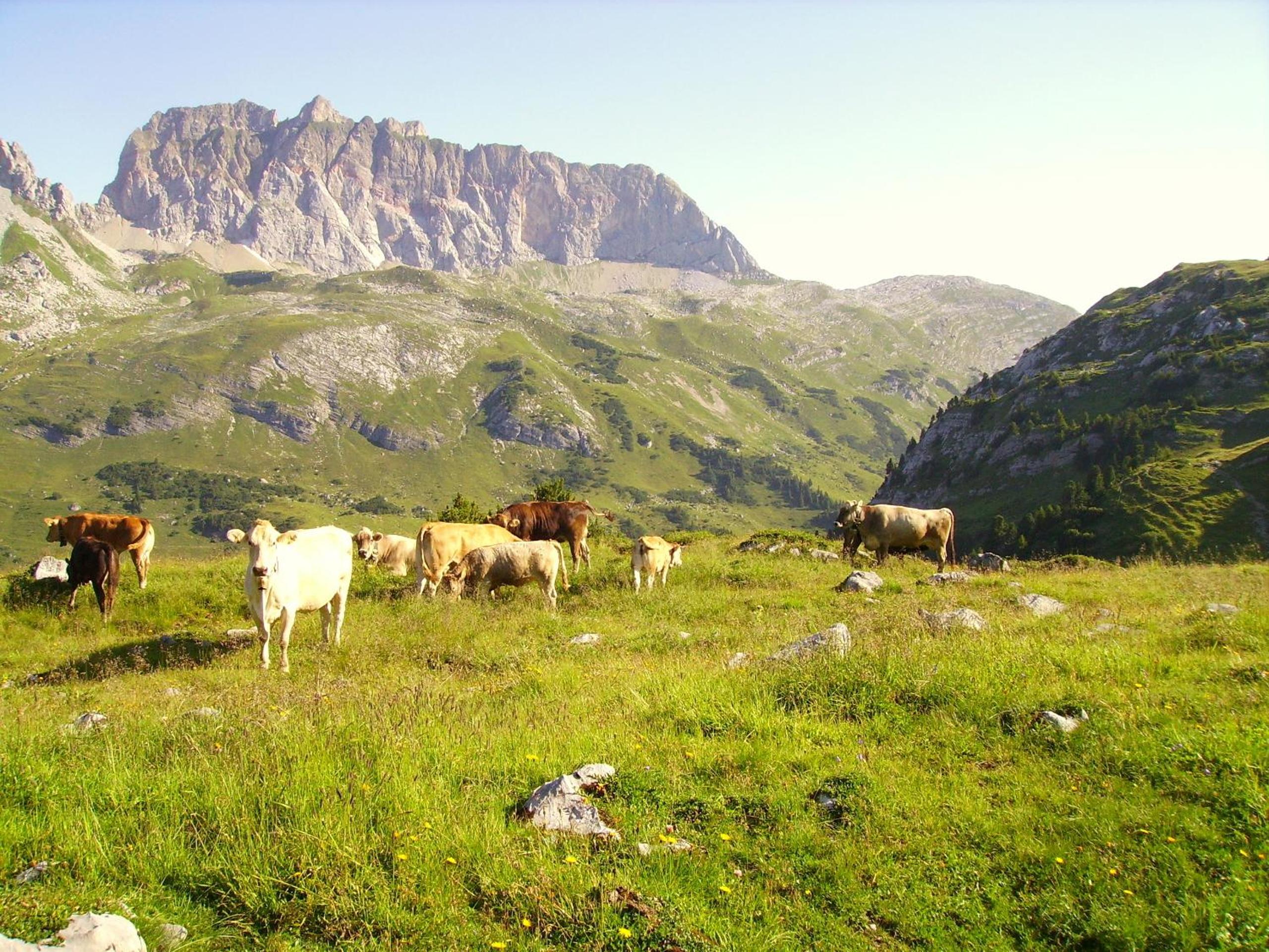 Haus Simma