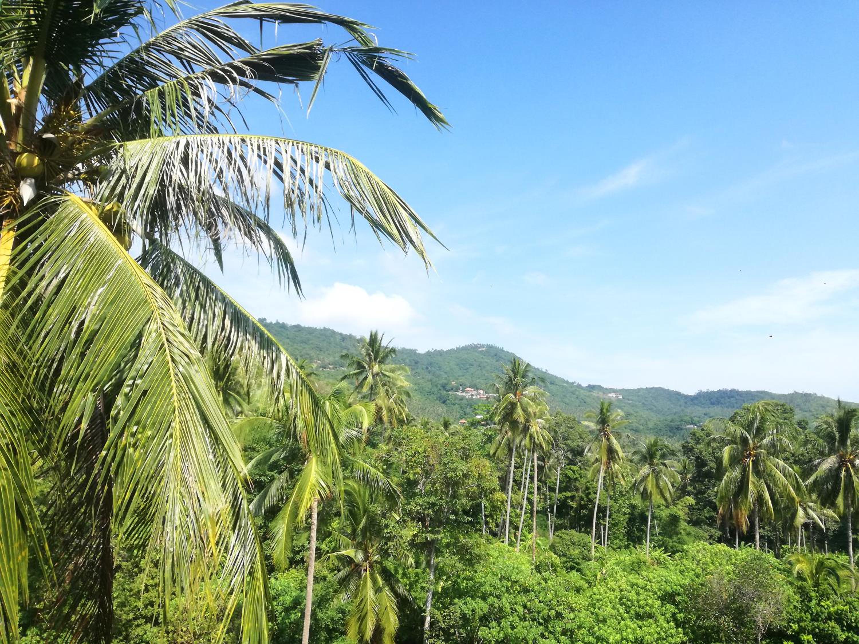 Koh Samui Palm View Villa