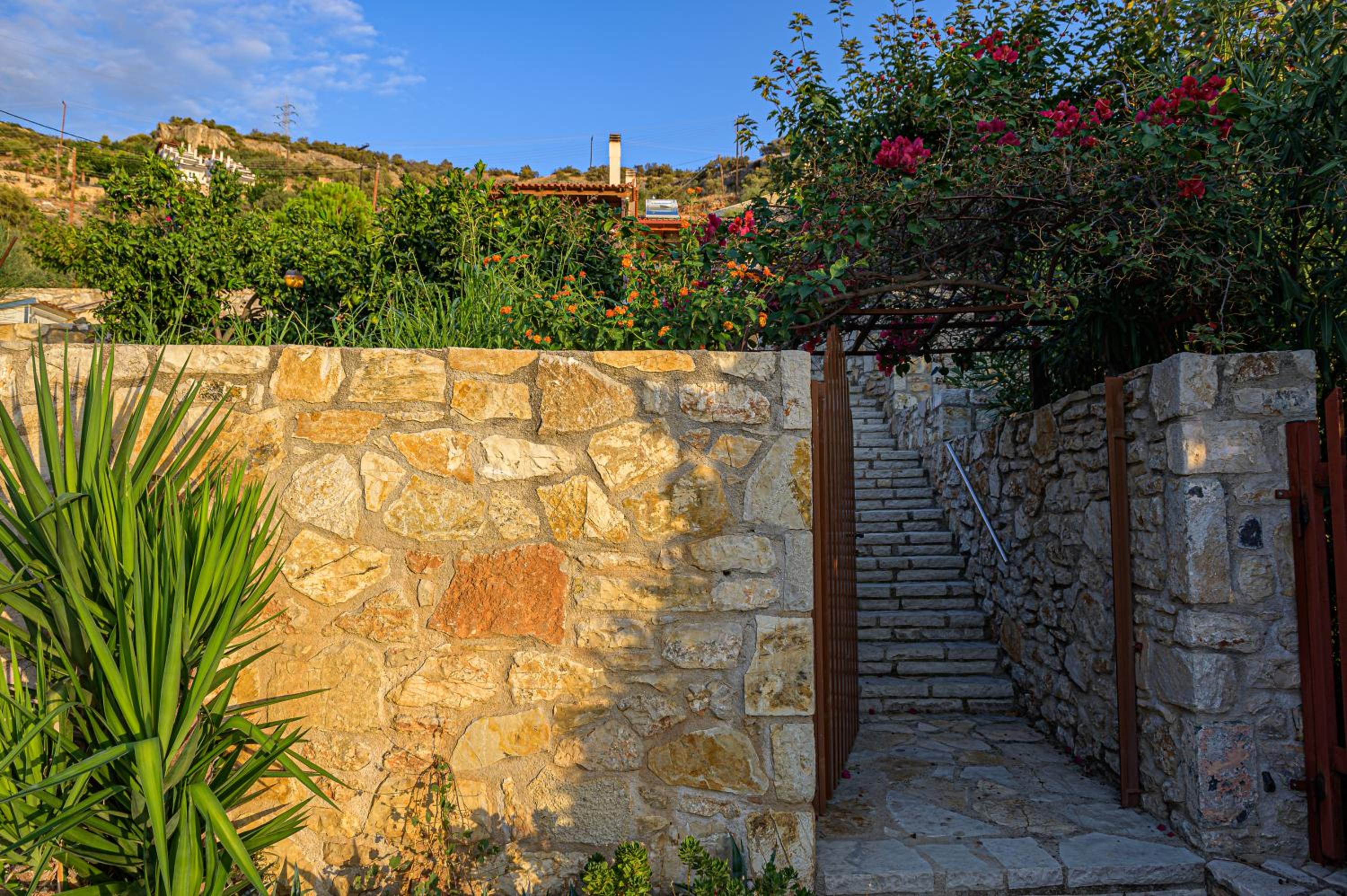 Photo 22