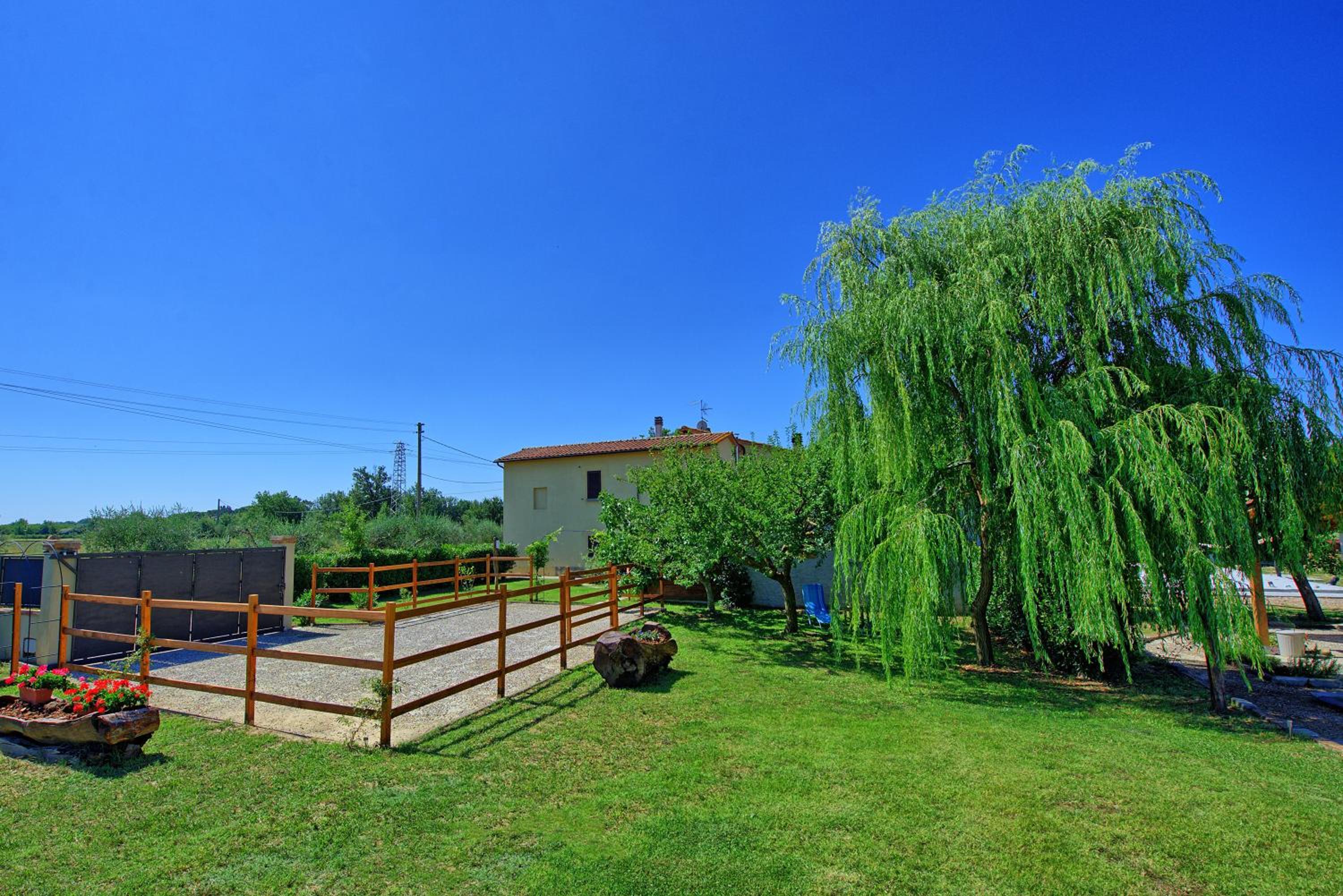 Photo 8