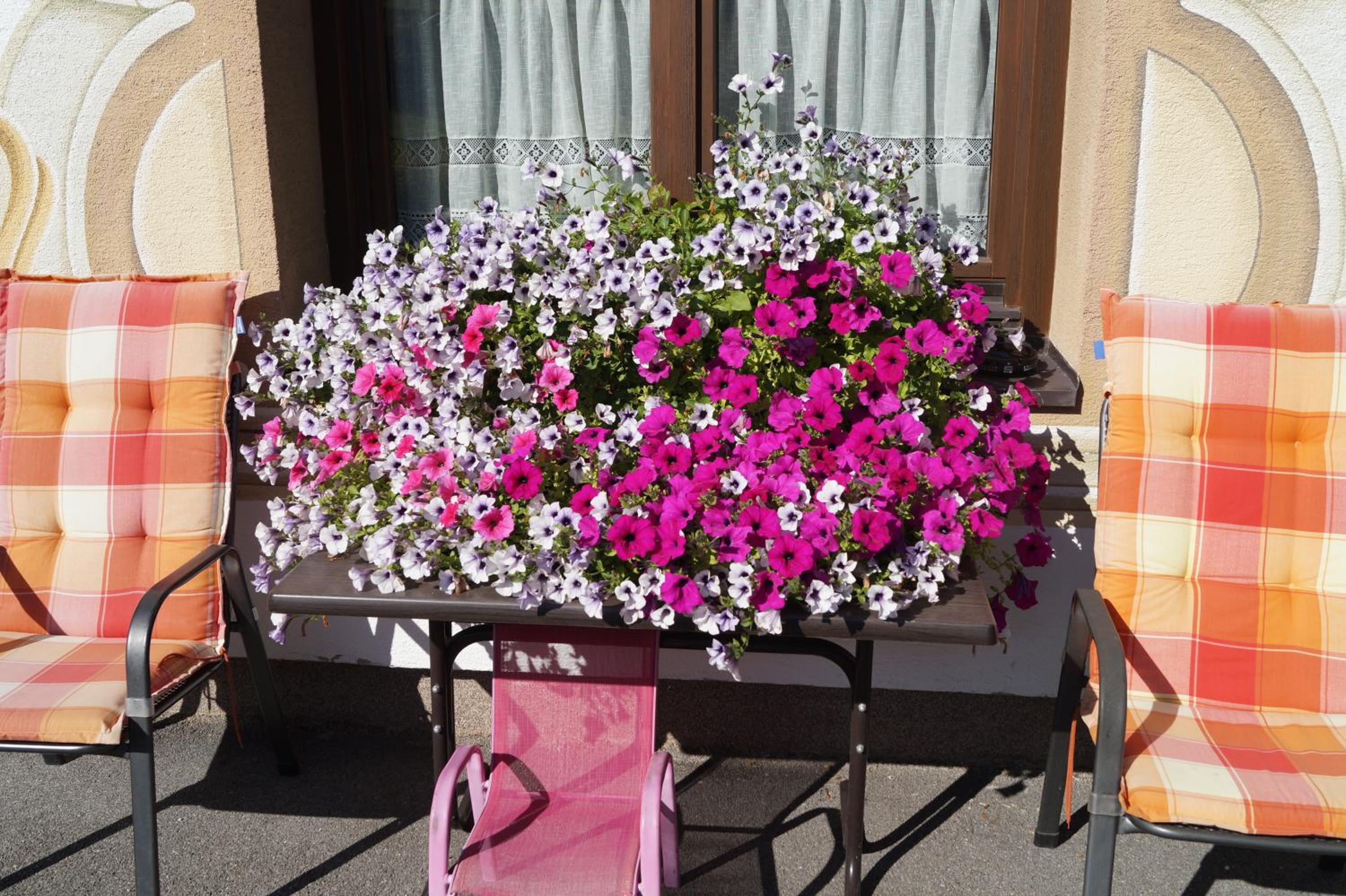 Appartment Karwendelblick