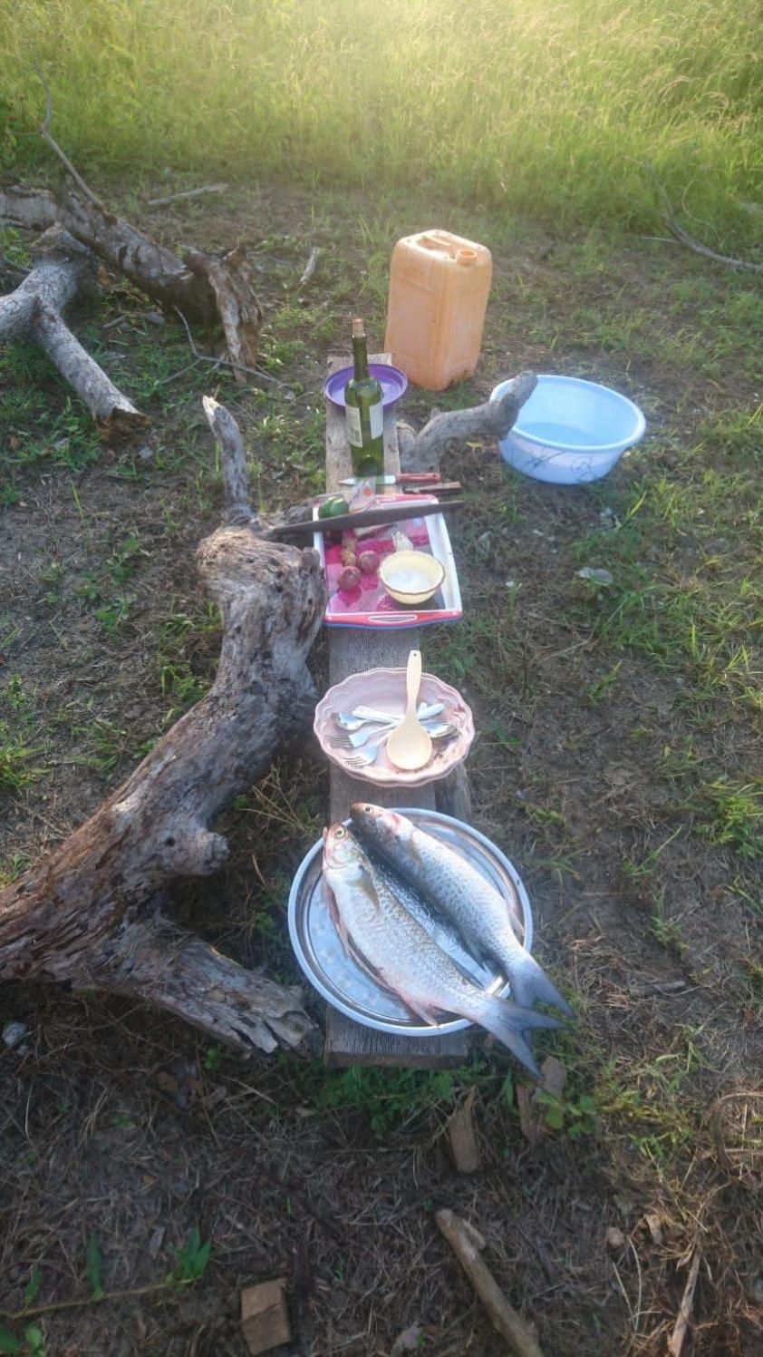 Photo 24