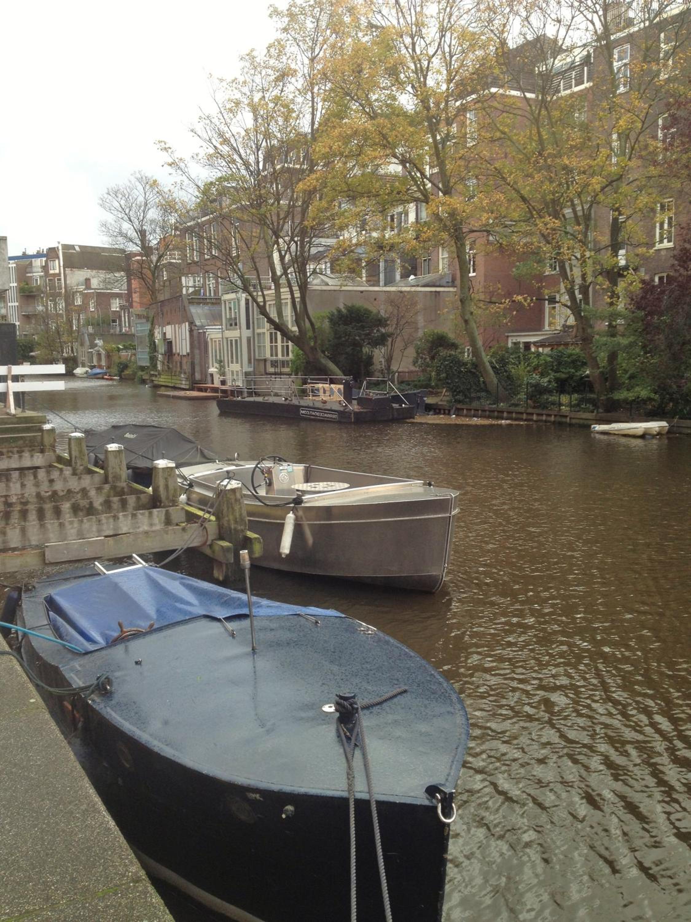 Blue Tulip Amsterdam